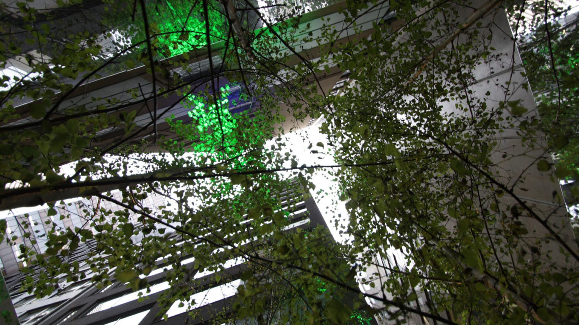 Infinity Forest banner