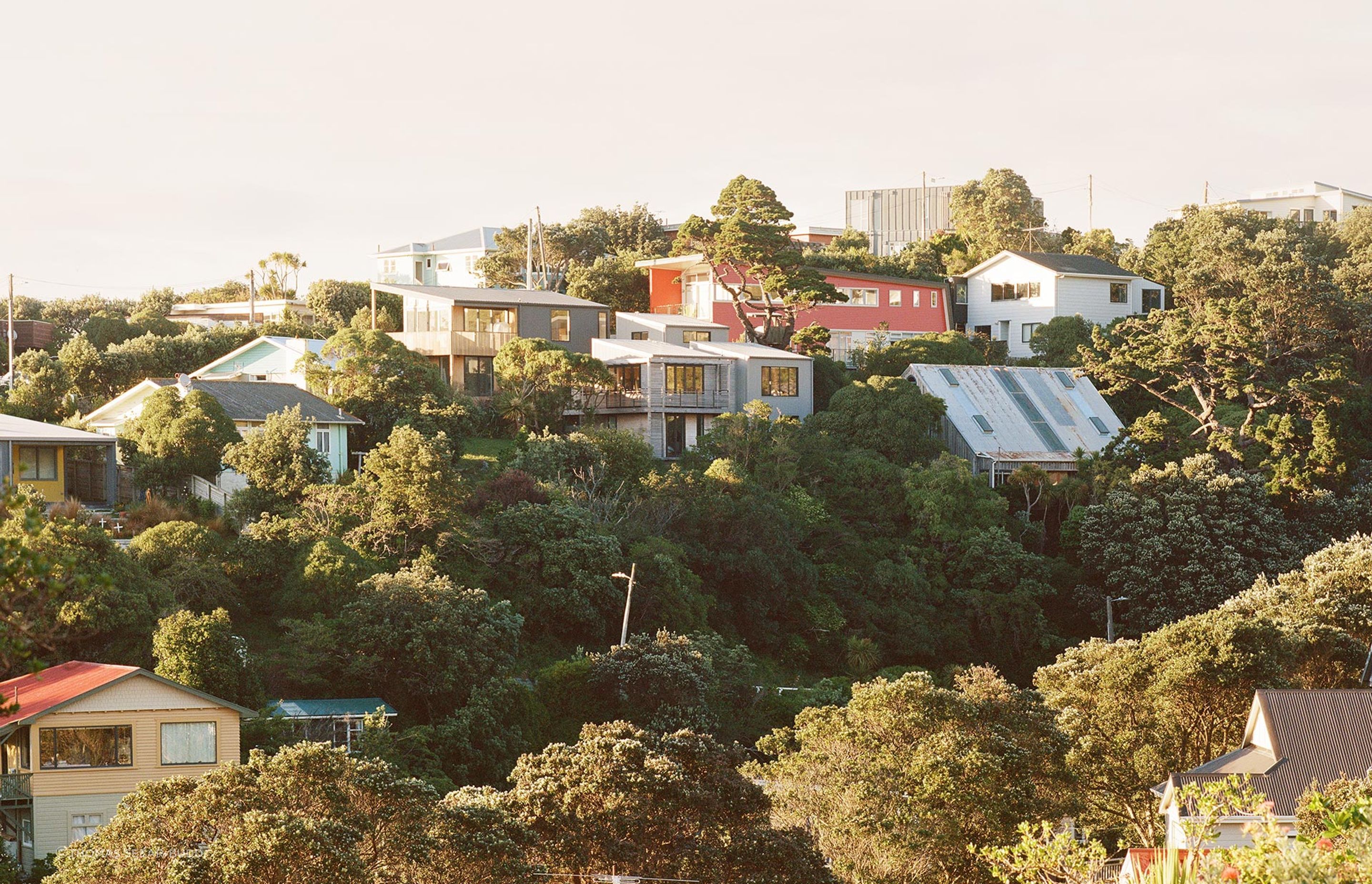 Beach Forest House