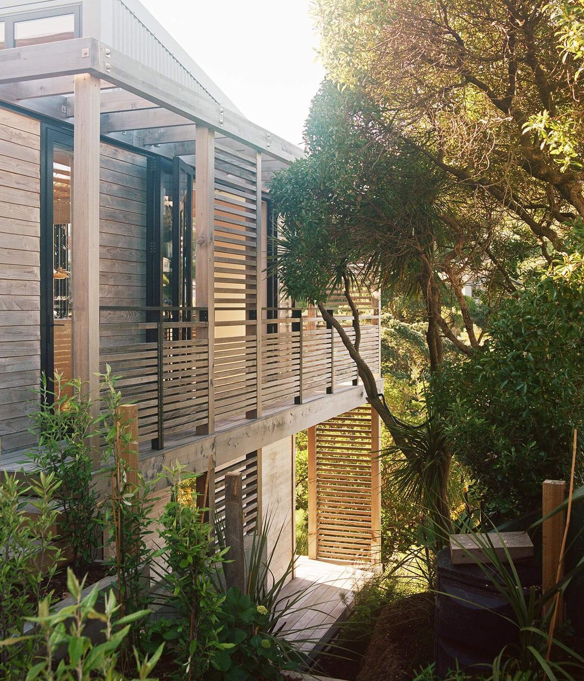 Beach Forest House