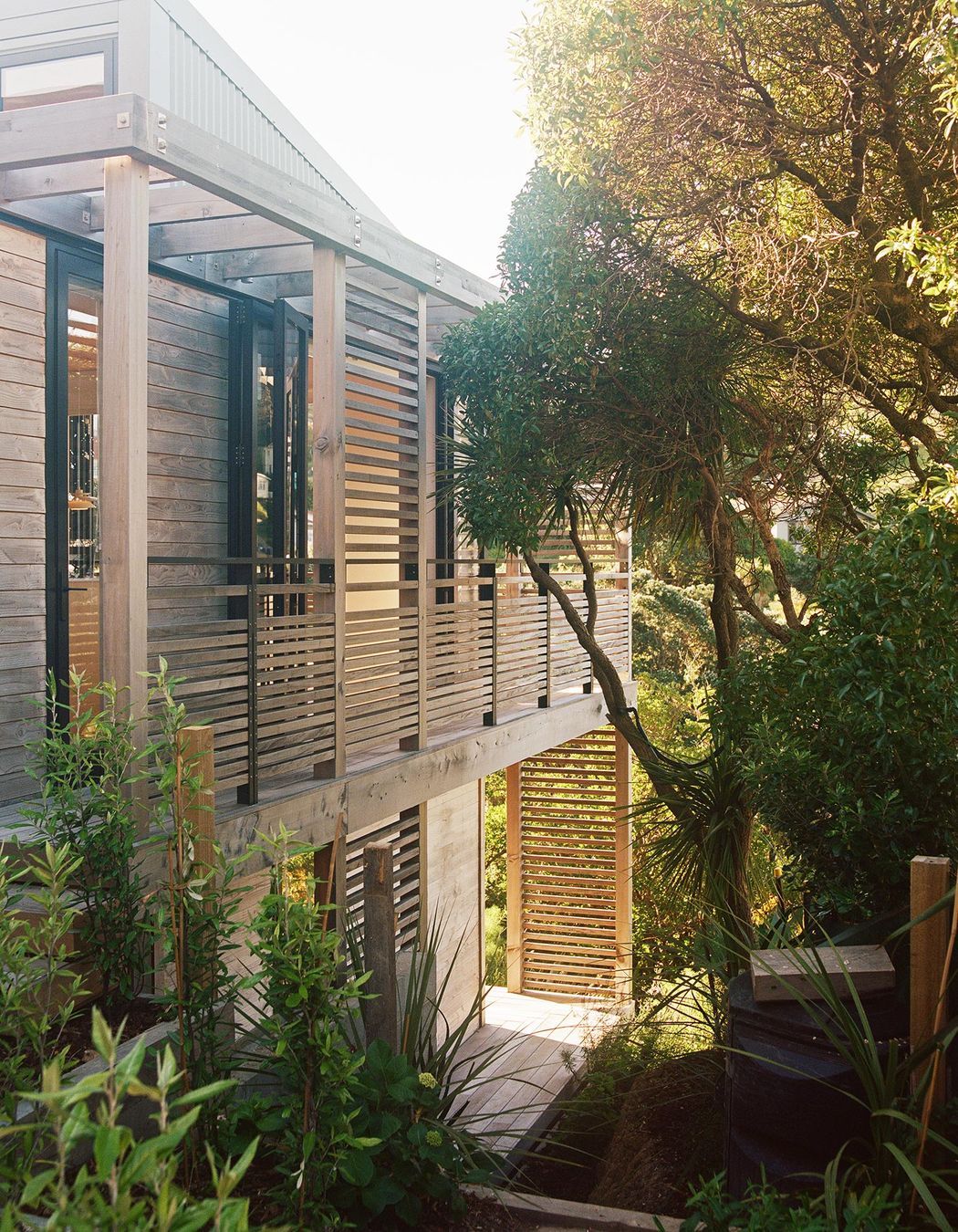 Beach Forest House