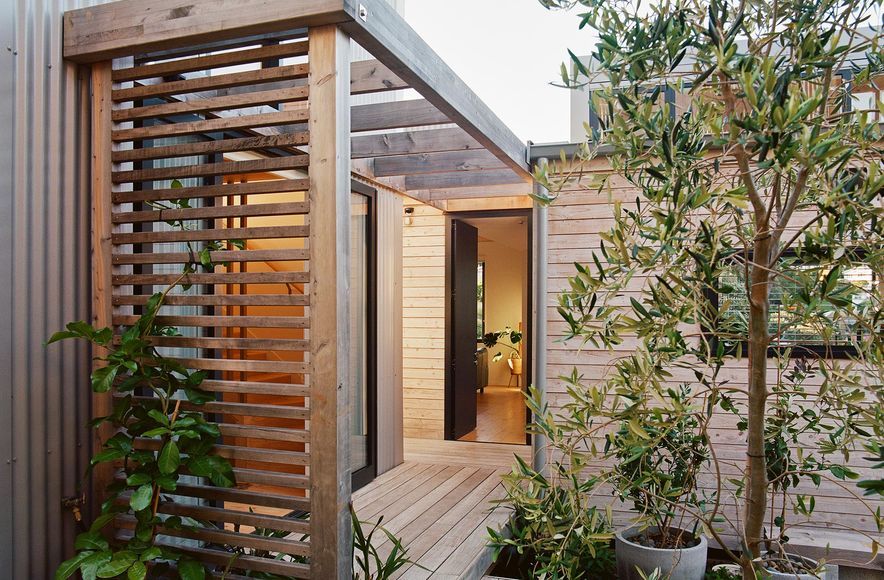 Beach Forest House