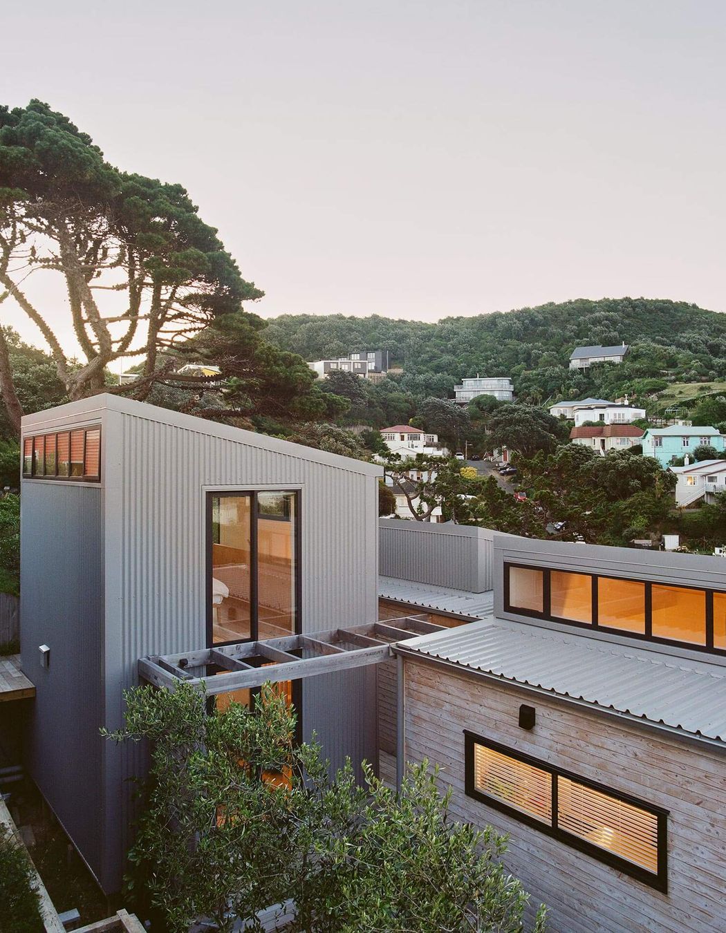 Beach Forest House