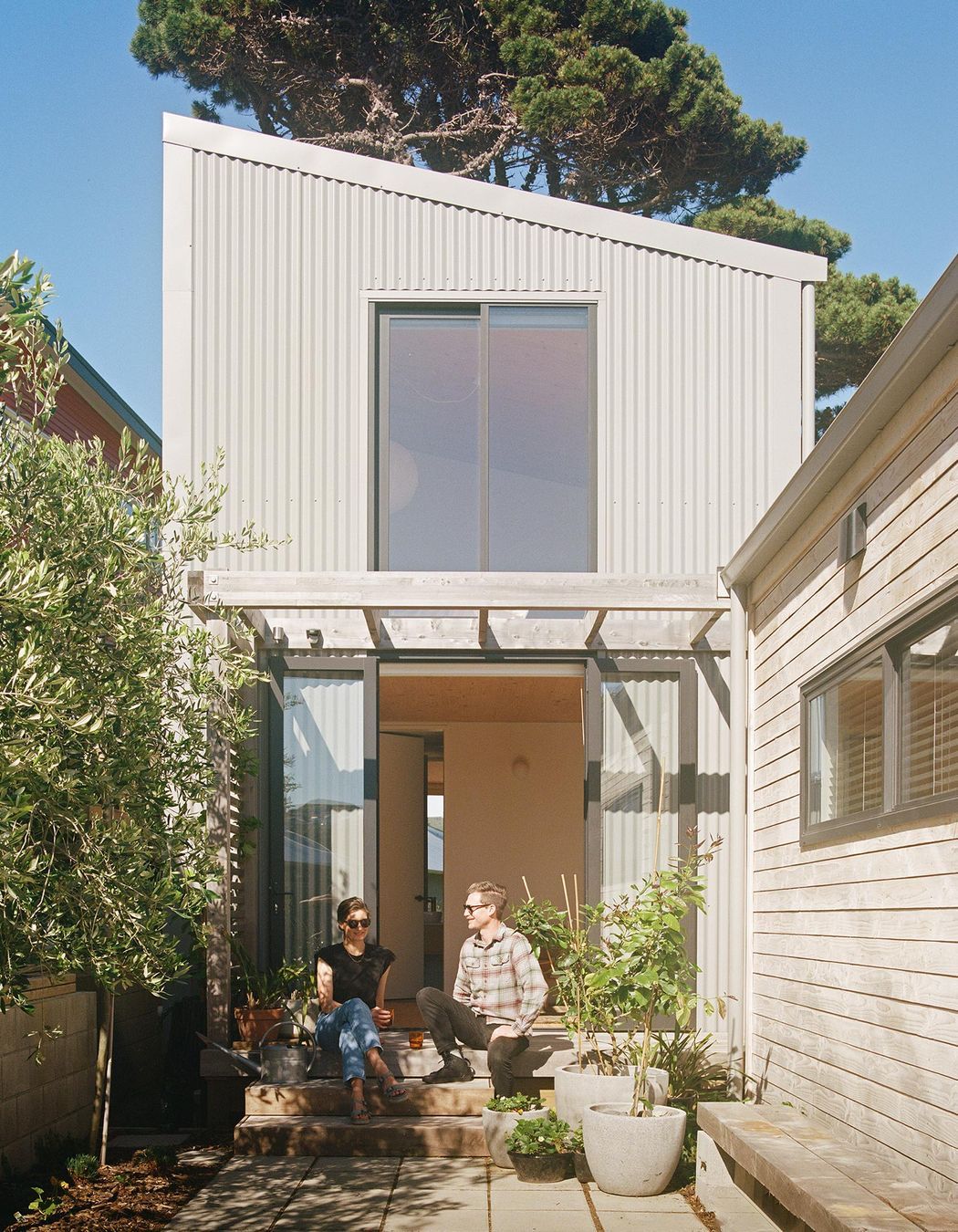 Beach Forest House