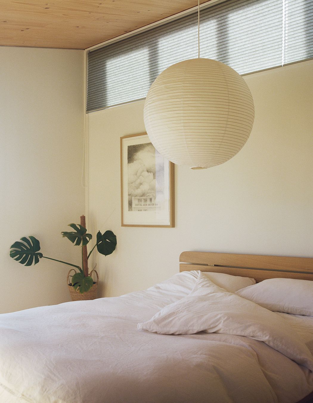 Beach Forest House