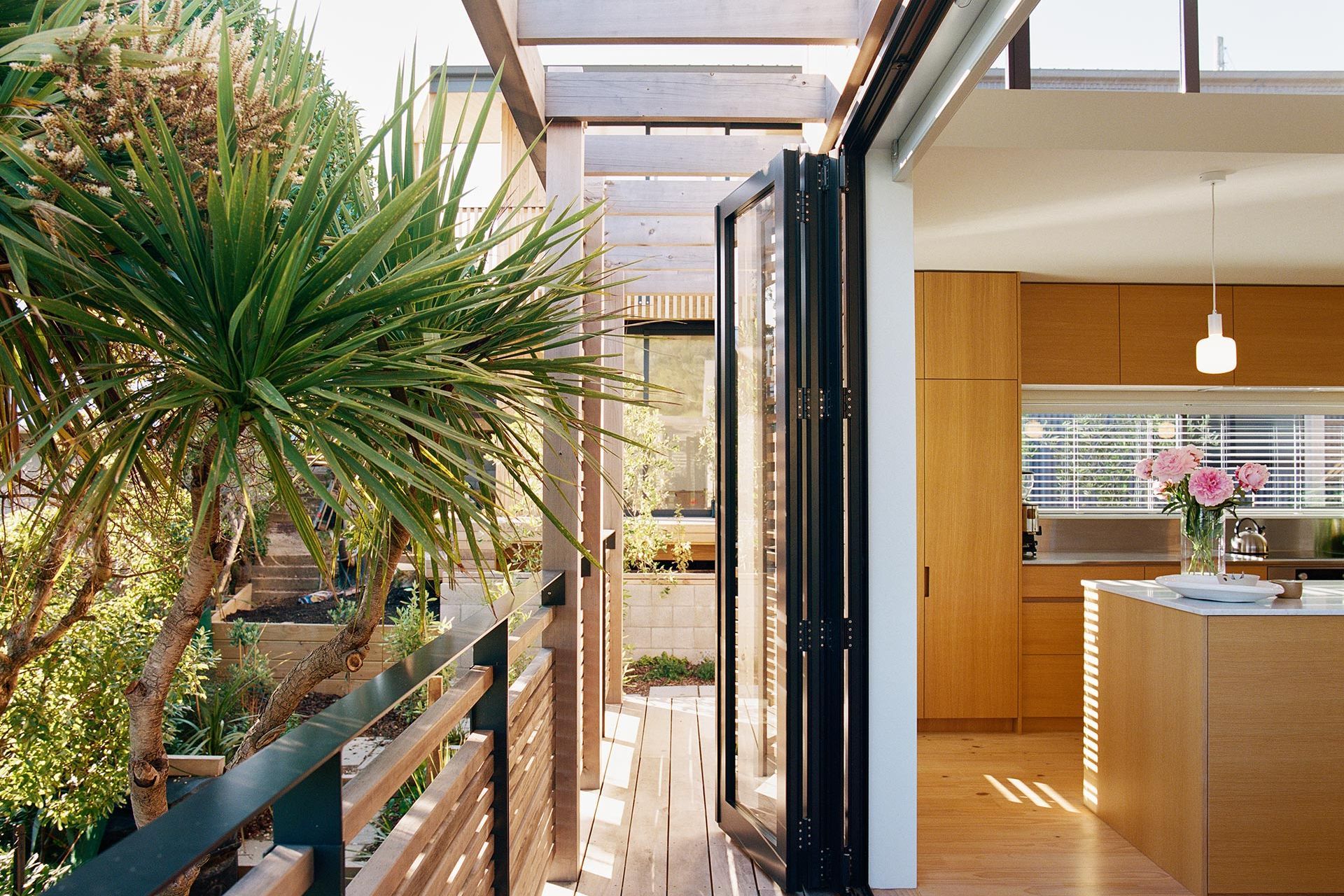 Beach Forest House