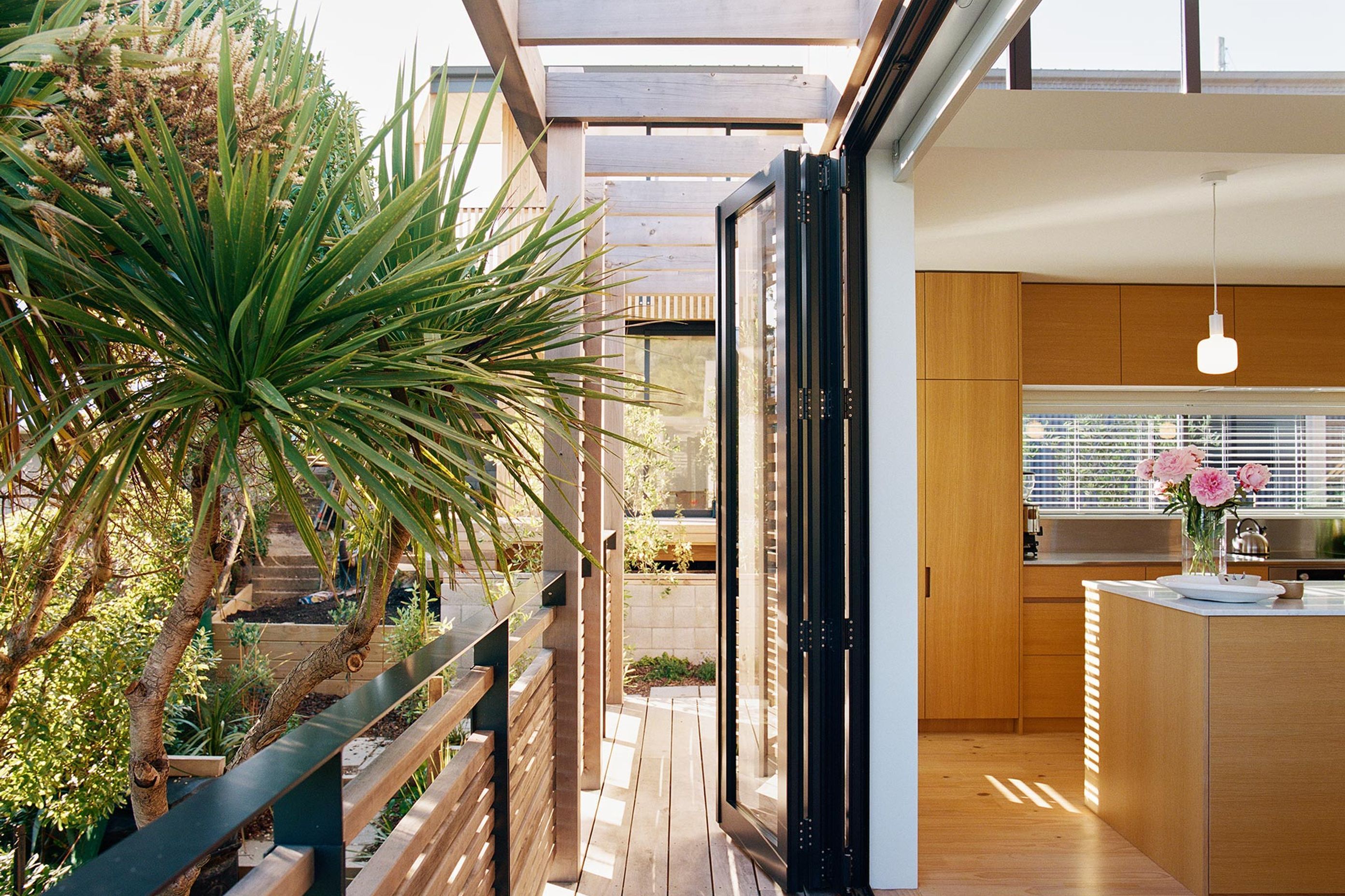 Beach Forest House