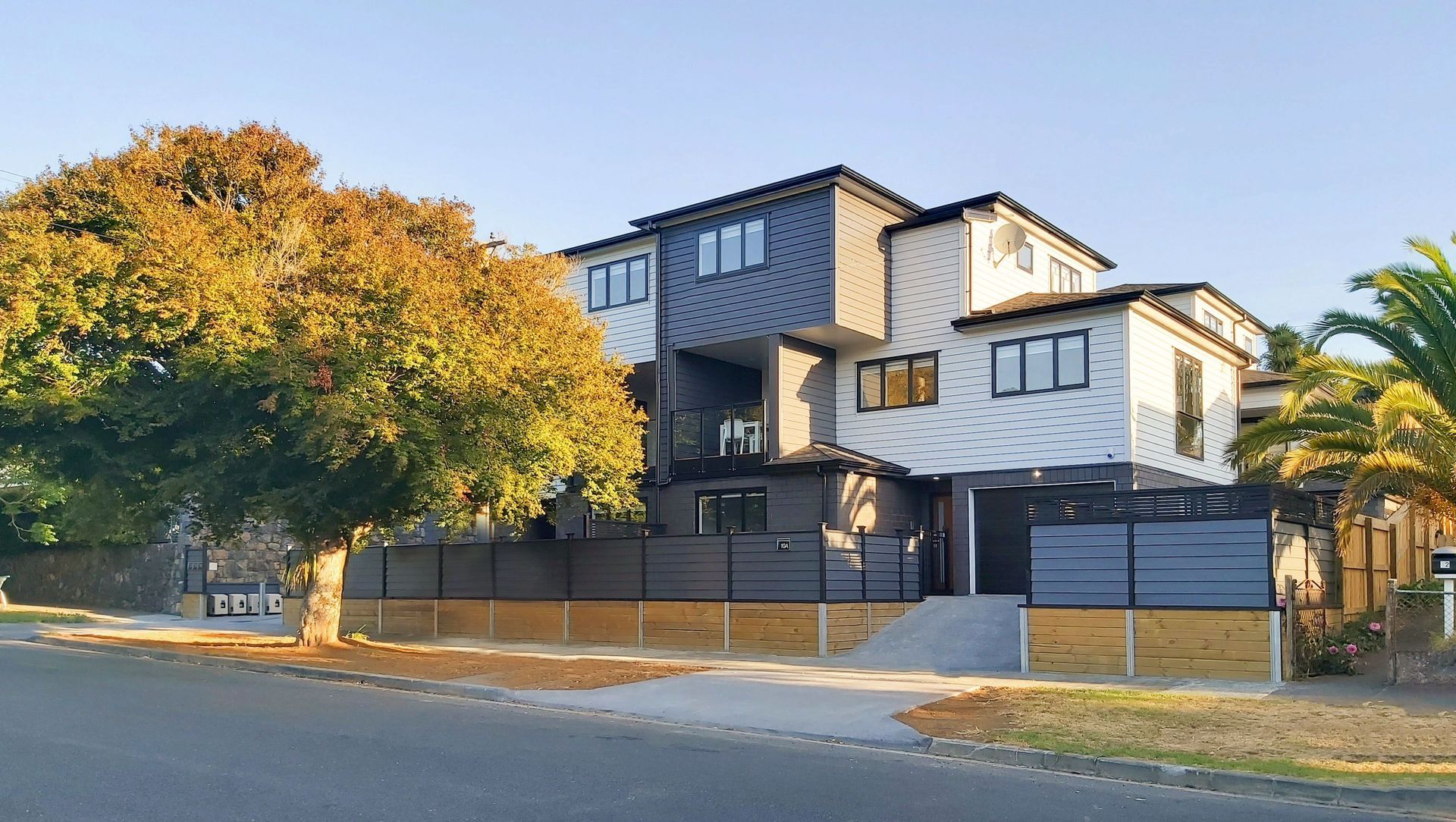Mt Albert - Multi-units banner