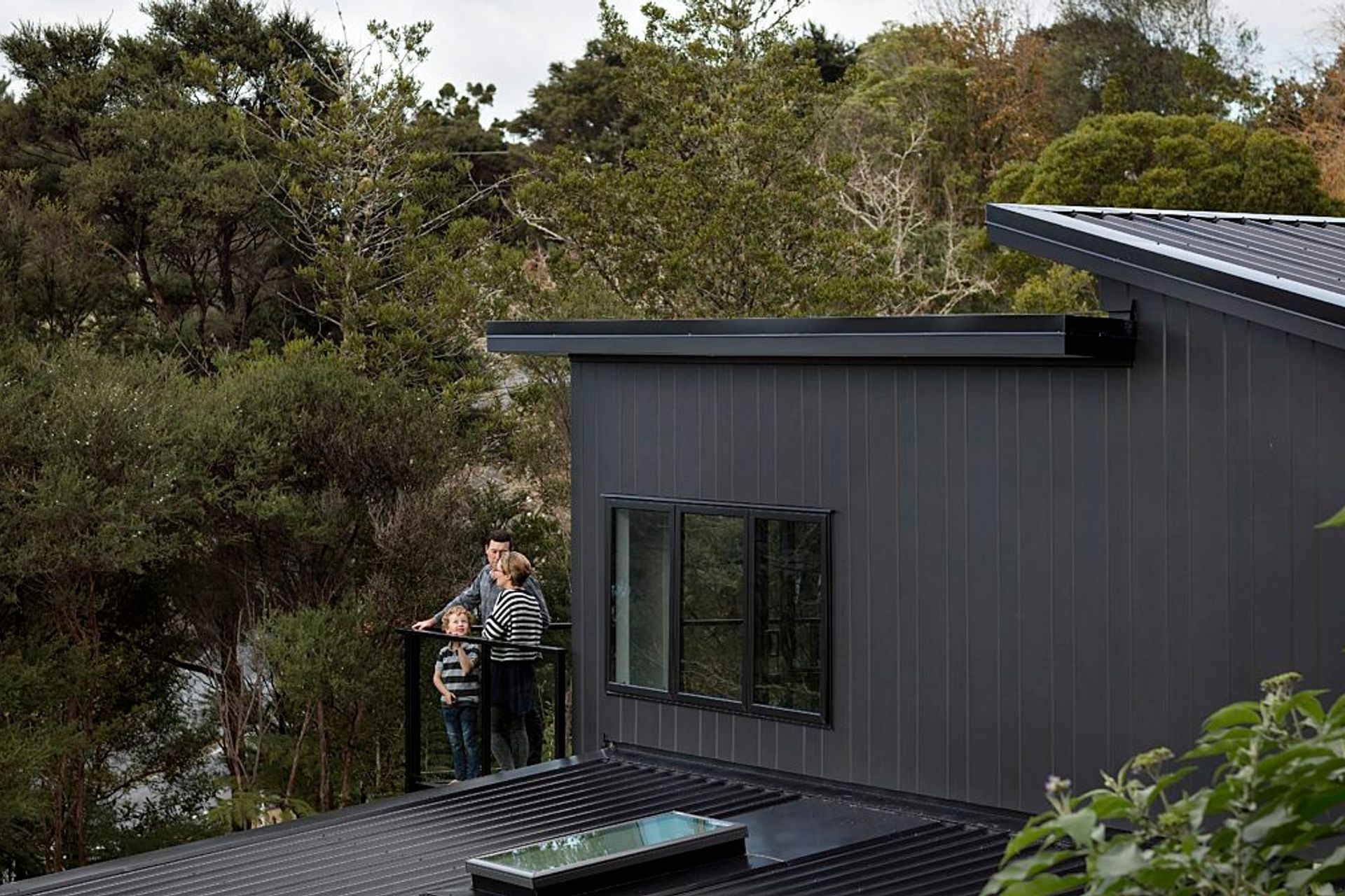 The Modern Look of the Darker Colours, Titirangi