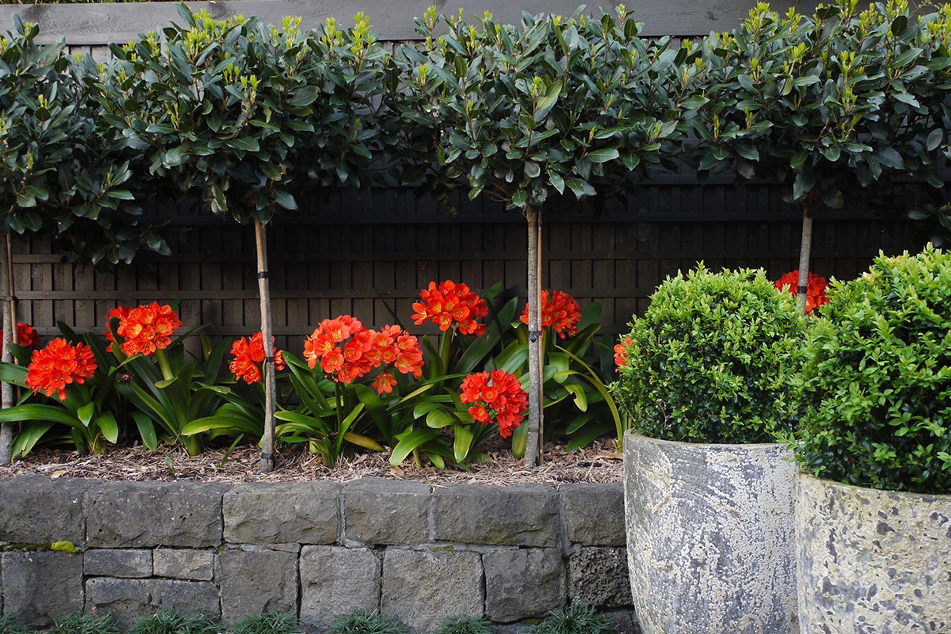 Life Outside: Every home in the Verita development comes complete with carefully designed and implemented outdoor living spaces and landscaping.