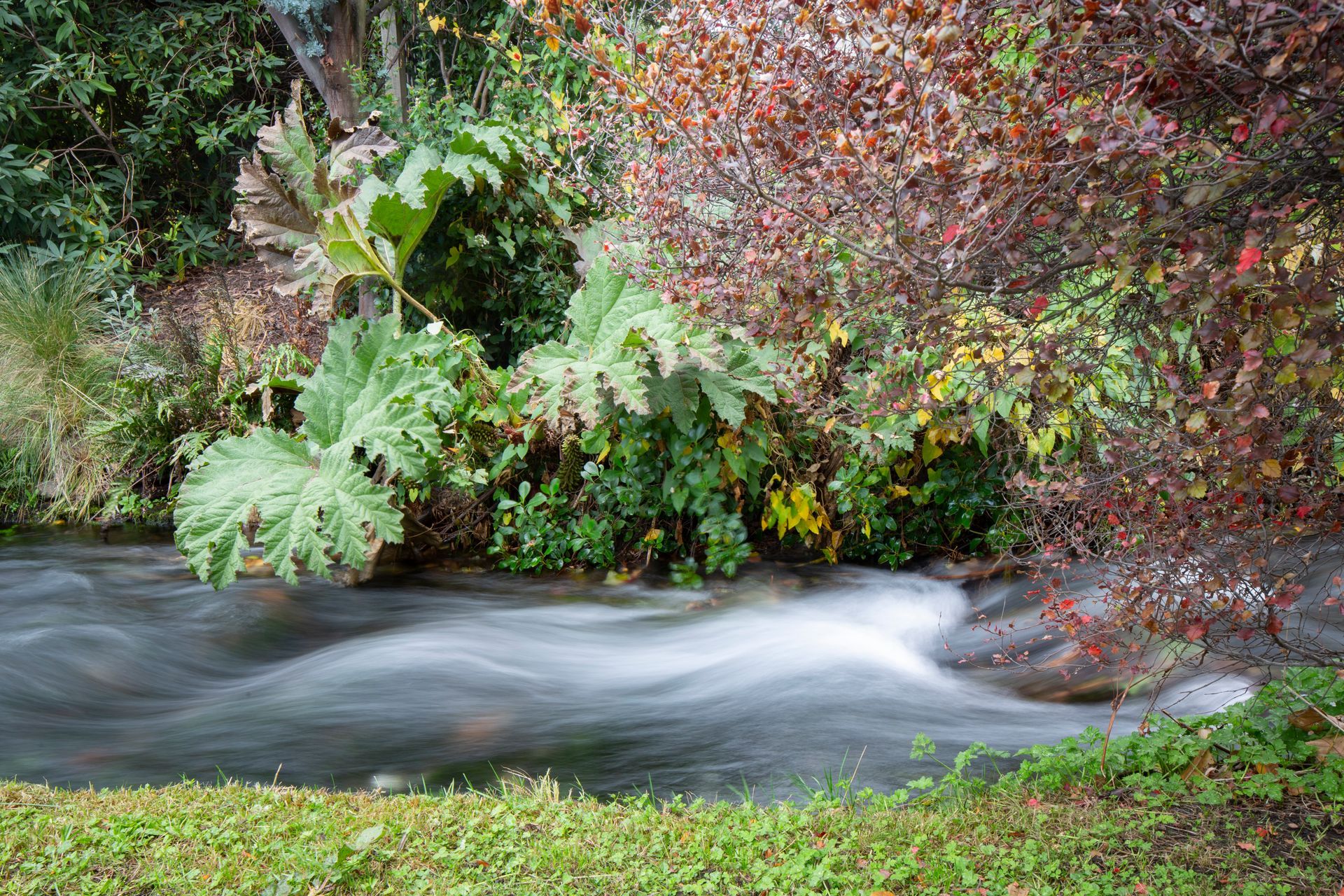 Helwick Street Wanaka Contemporary Architecture
