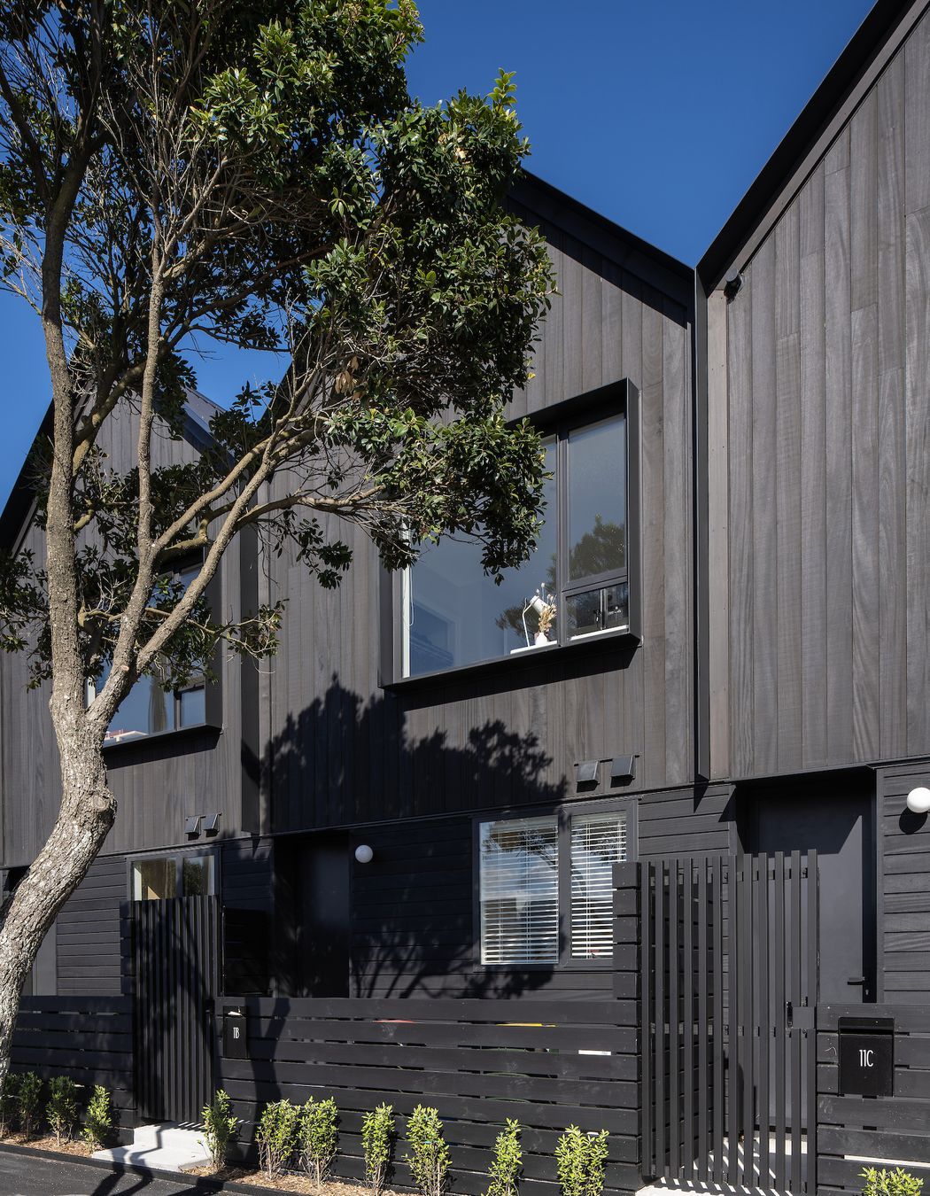 Petone Townhouses