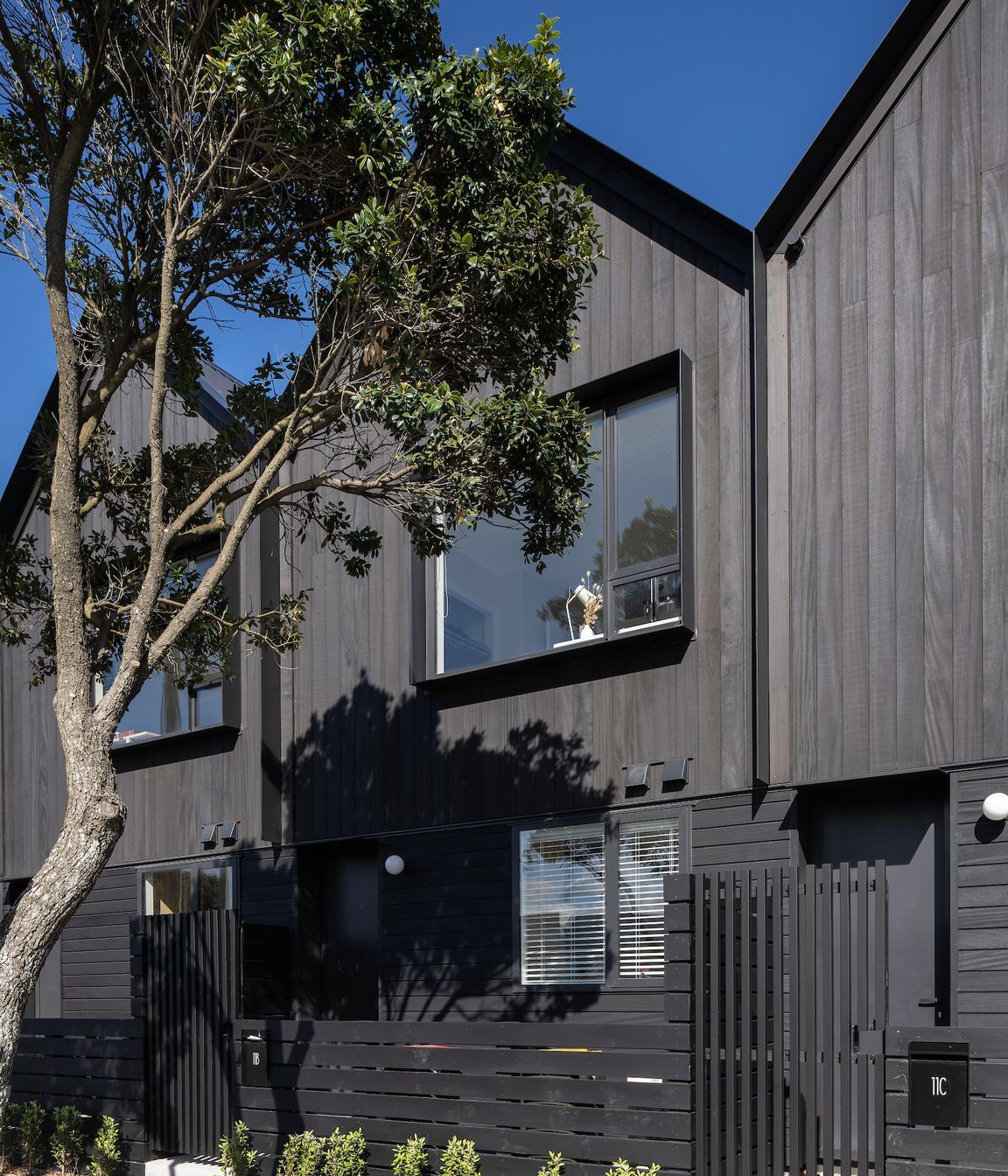 Petone Townhouses