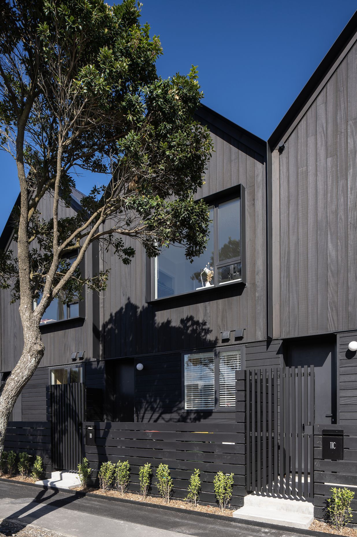 Petone Townhouses