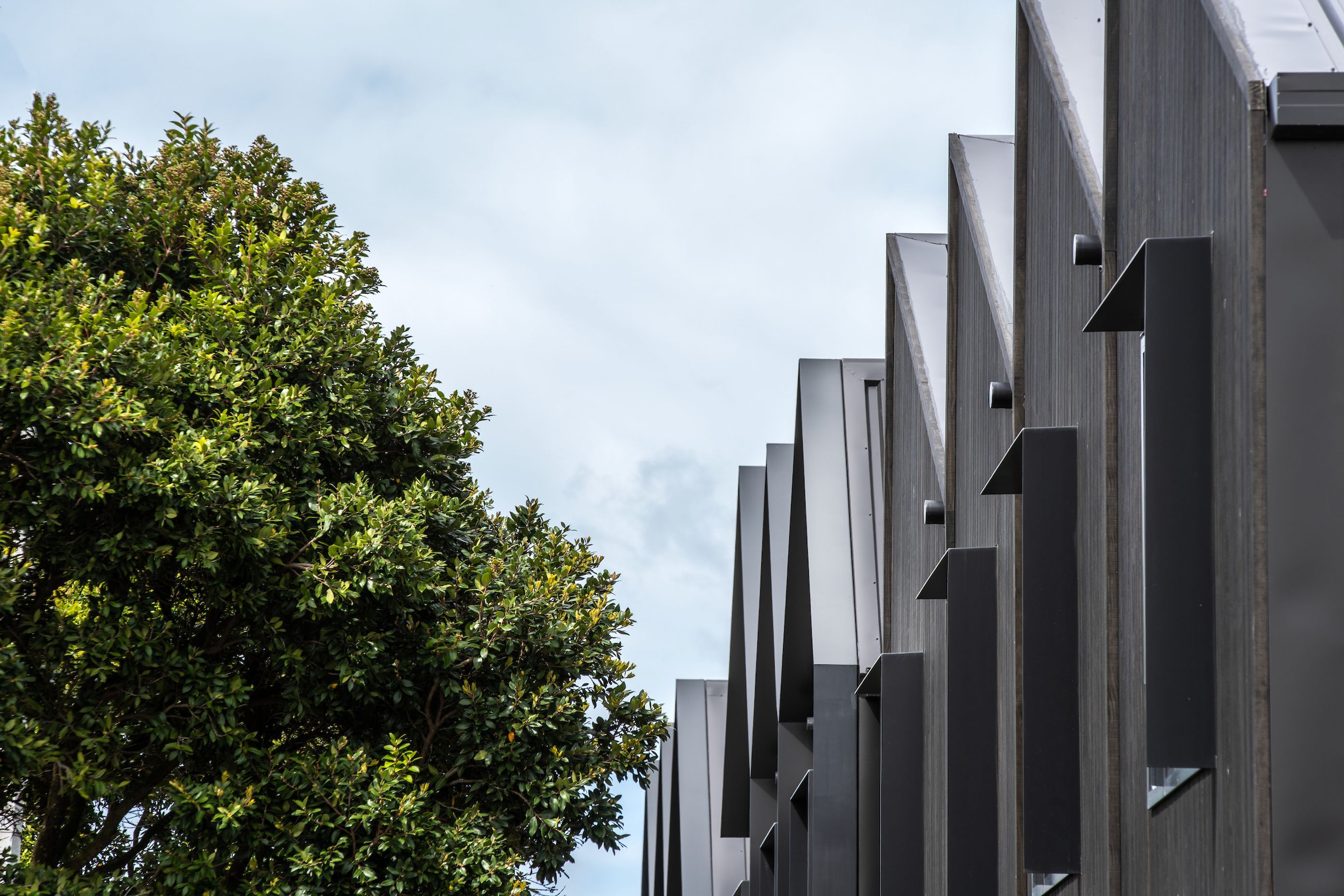 Petone Townhouses