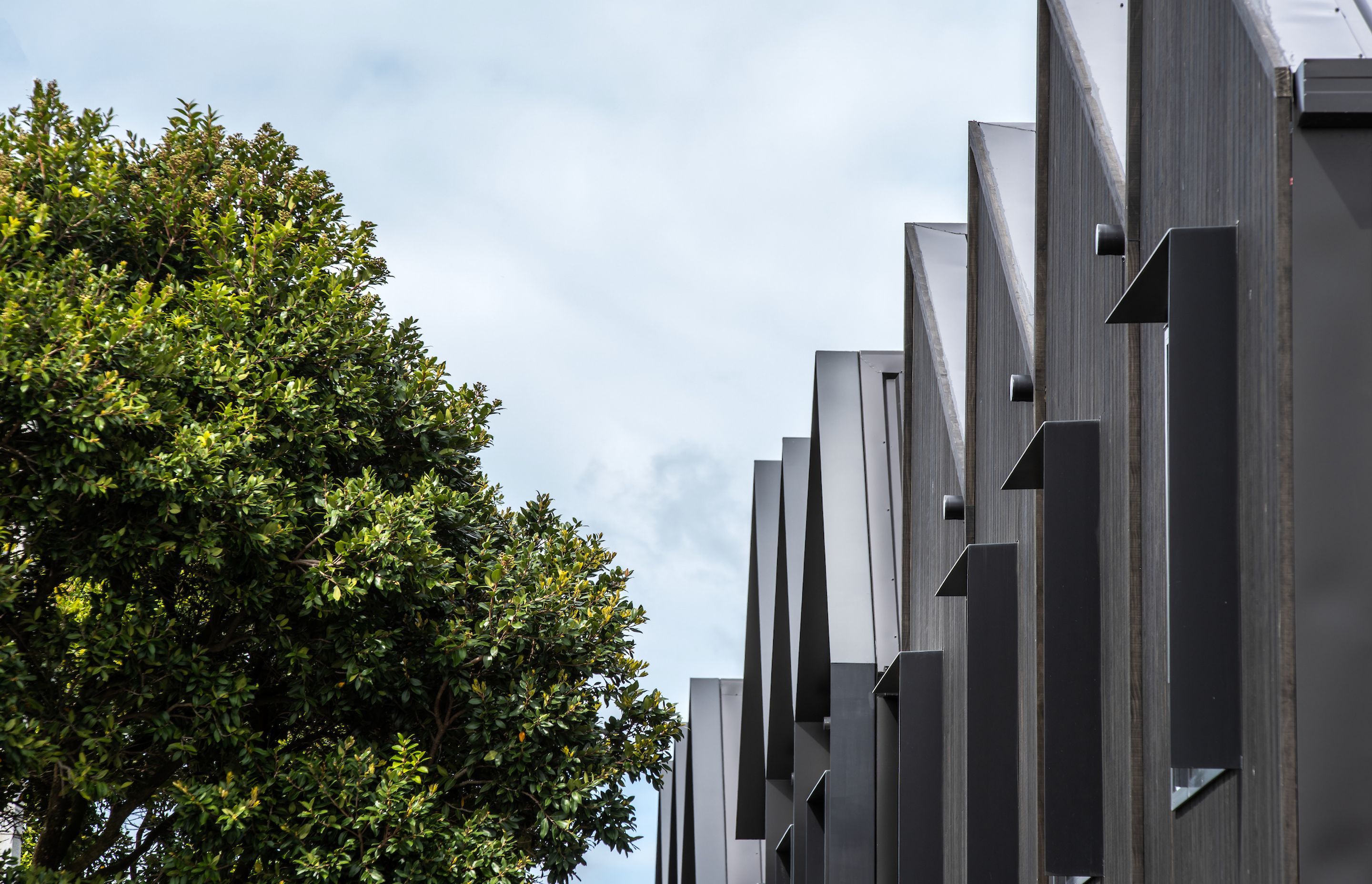 Petone Townhouses