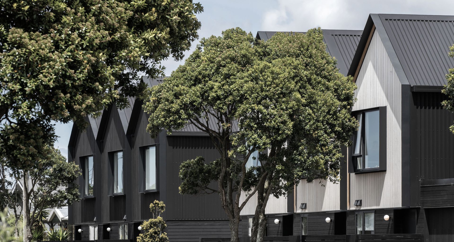 Petone Townhouses banner
