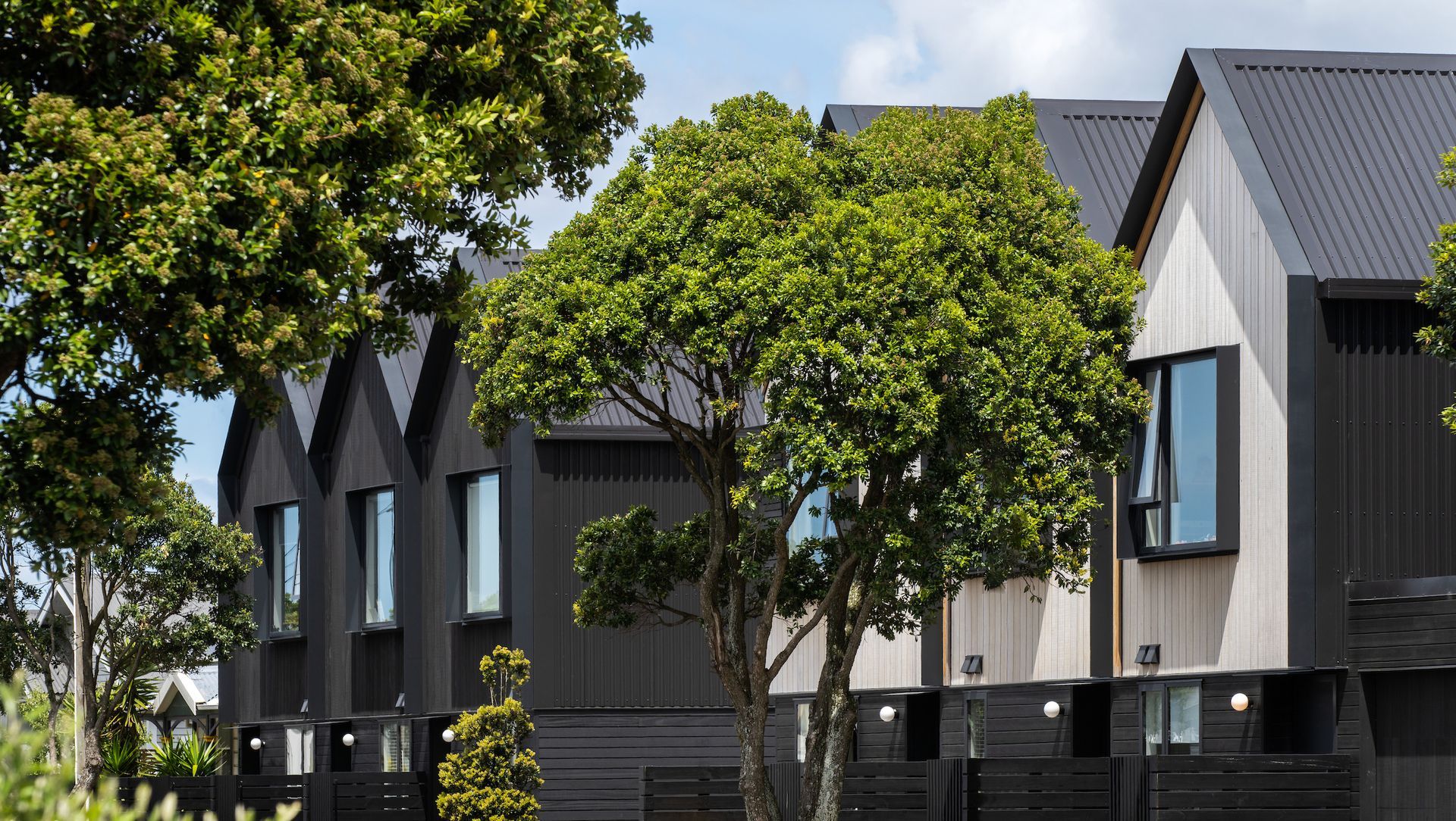 Petone Townhouses banner