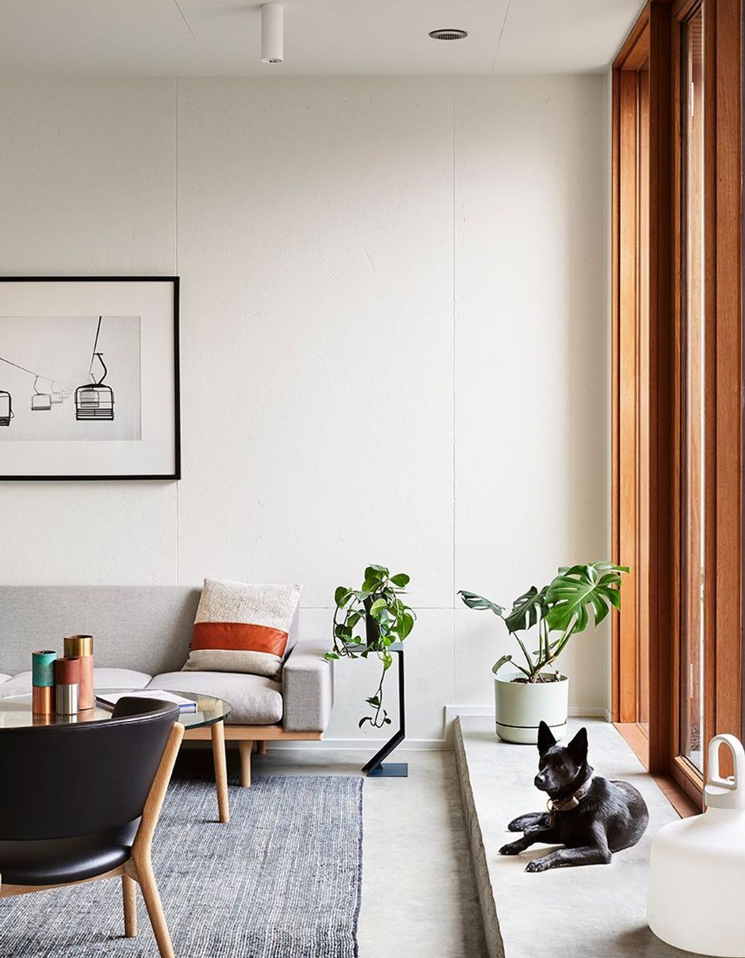 Davison Collaborative