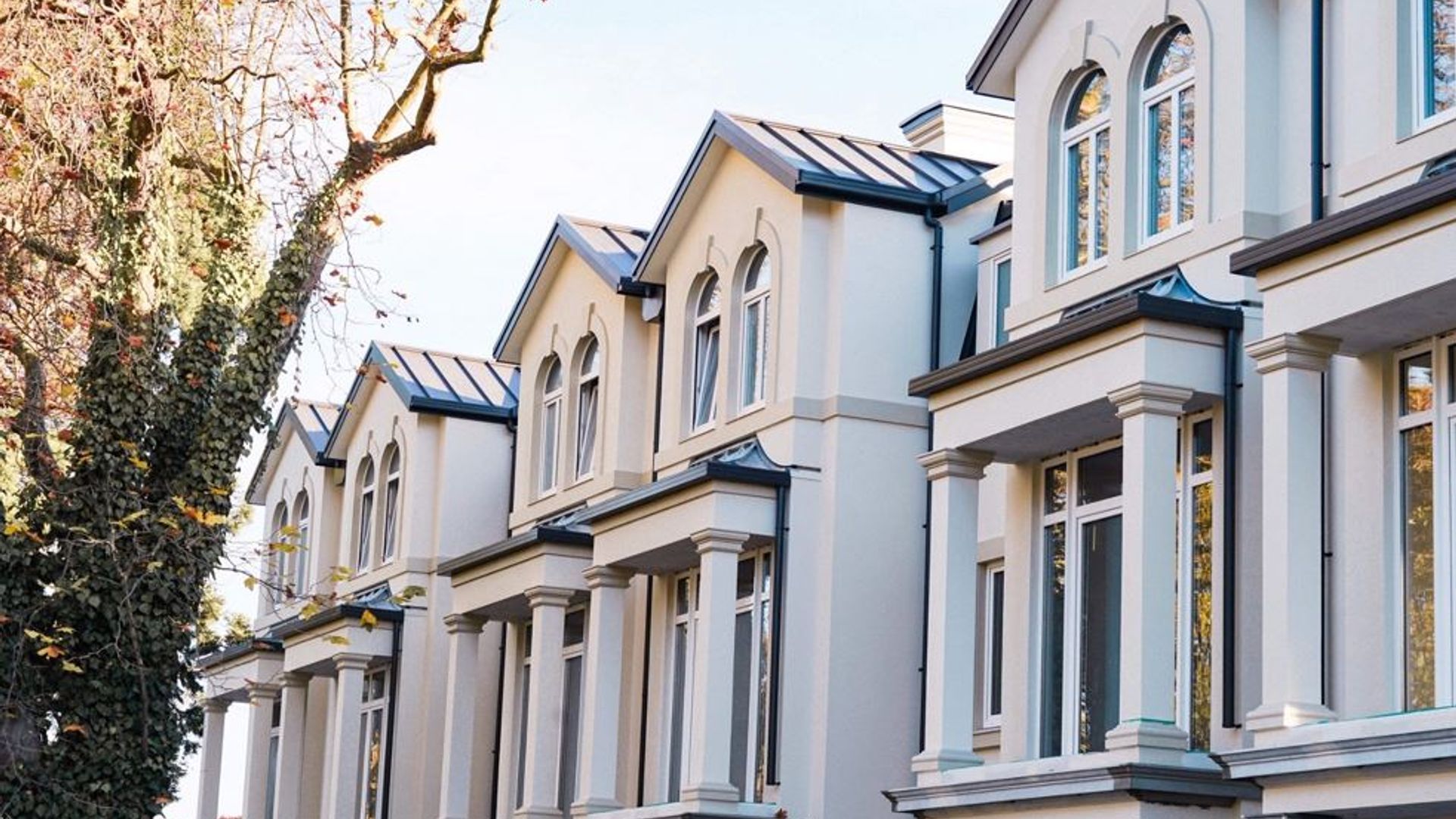 Hagley Mews - Christchurch banner