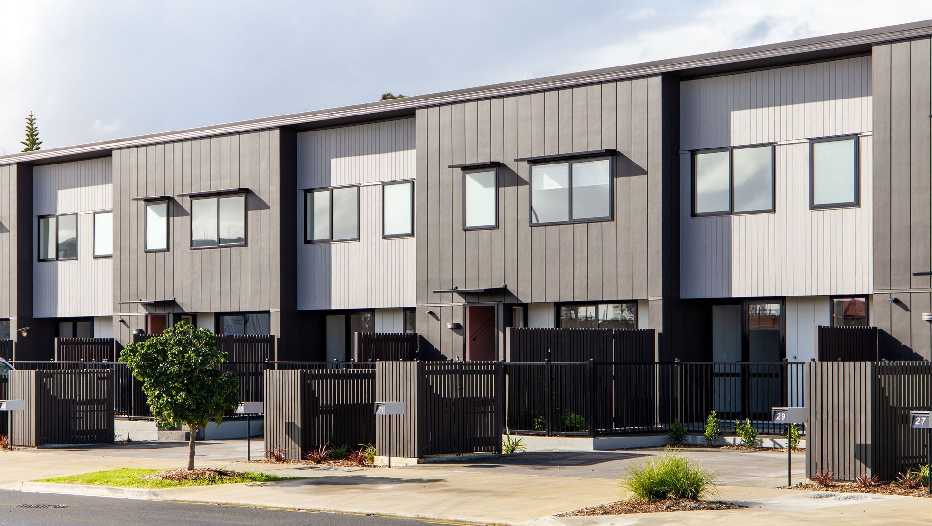 Auckland Terraces banner