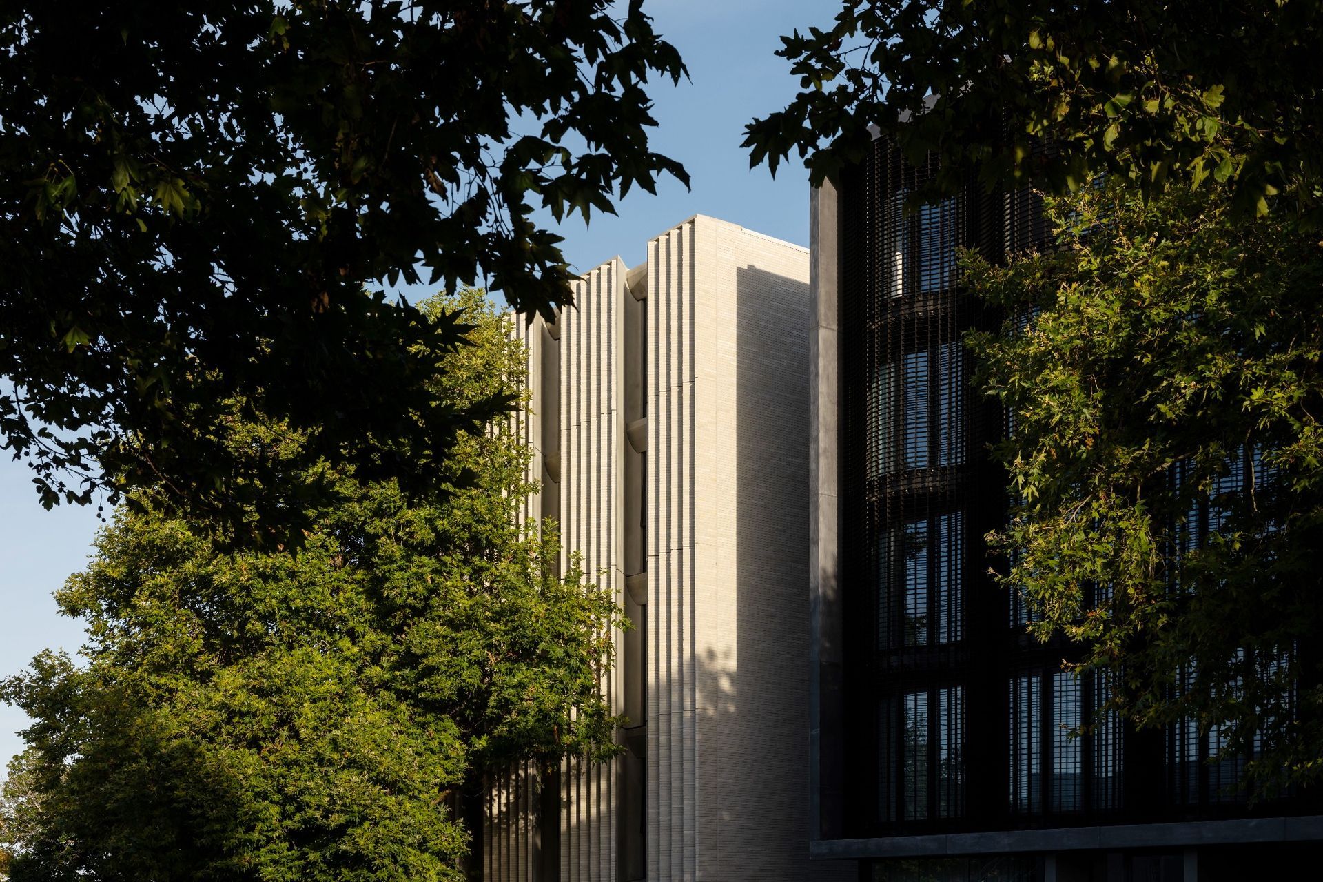 Jervois-Road-by-Monk-Mackenzie-is-offset-by-mature-street-trees-with-Eco-Outdoors-Daly-Stone-Bricks-forming-a-calm-limestone-facade-that-brings-weight-and-texture-to-the-v2.jpg