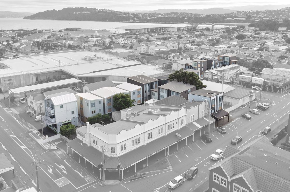 Mahora Te Aroha