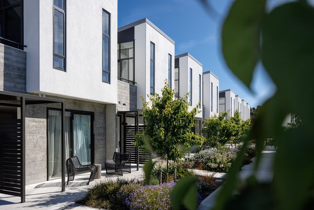 A contemporary multi-unit residential development viewed from a landscaped pedestrian path. Repeated two-storey homes feature crisp white rendered upper volumes, grey masonry or concrete lower levels, tall narrow windows, dark metal screening, and small ground-level patios. Structured planting and flowering groundcovers line the shared walkway, with foreground foliage framing the scene.