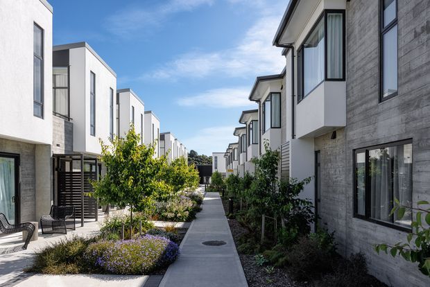 A landscaped pedestrian walkway runs through a contemporary multi-unit residential development. Repeated two- and three-storey homes line both sides, with crisp white rendered walls, dark-framed glazing, projecting upper volumes, and areas of grey concrete-textured cladding. Small planted gardens, outdoor seating, and a central paved path create a neat communal streetscape under a bright blue sky.