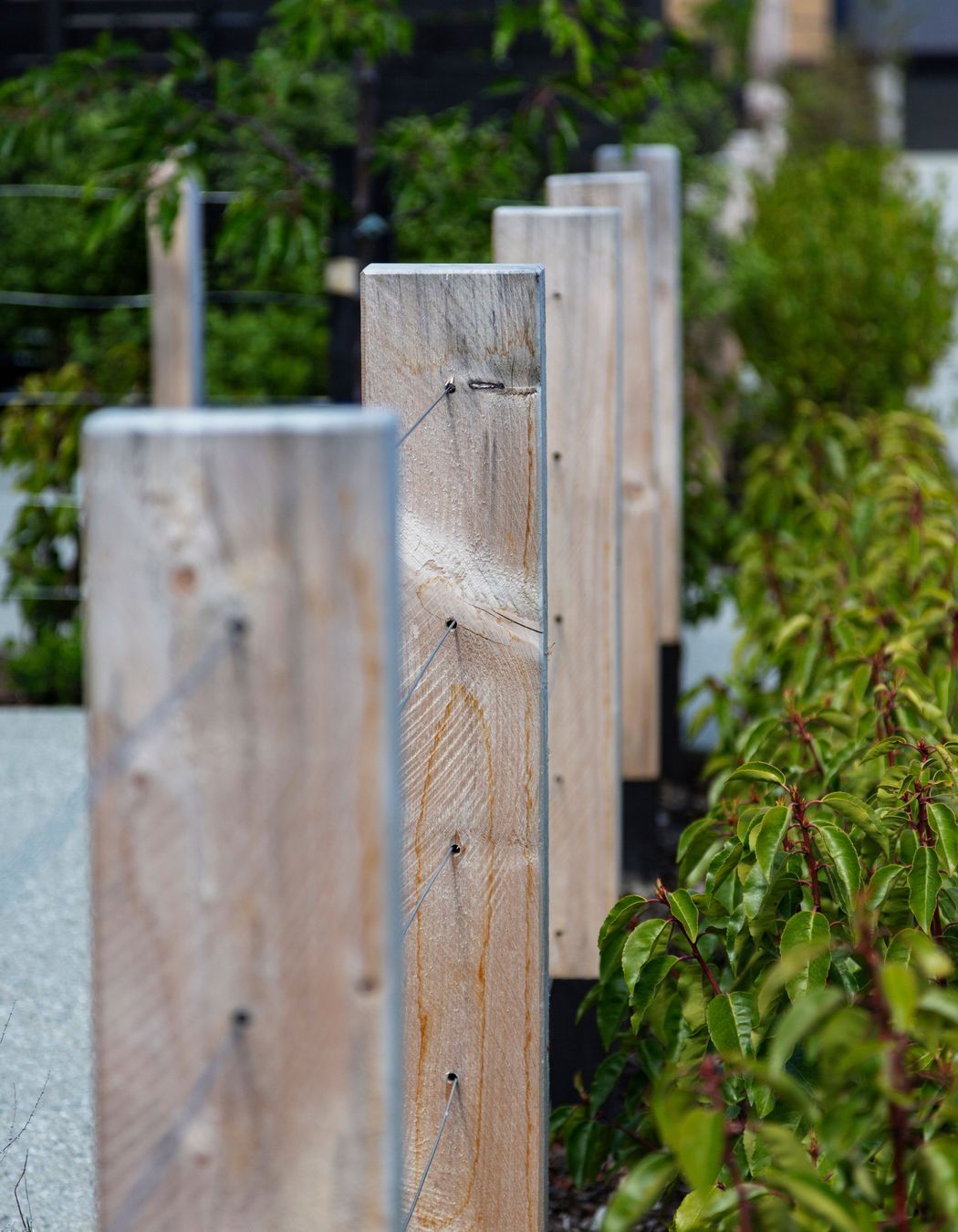 Station View, Jacks Point | Alpine Fencing