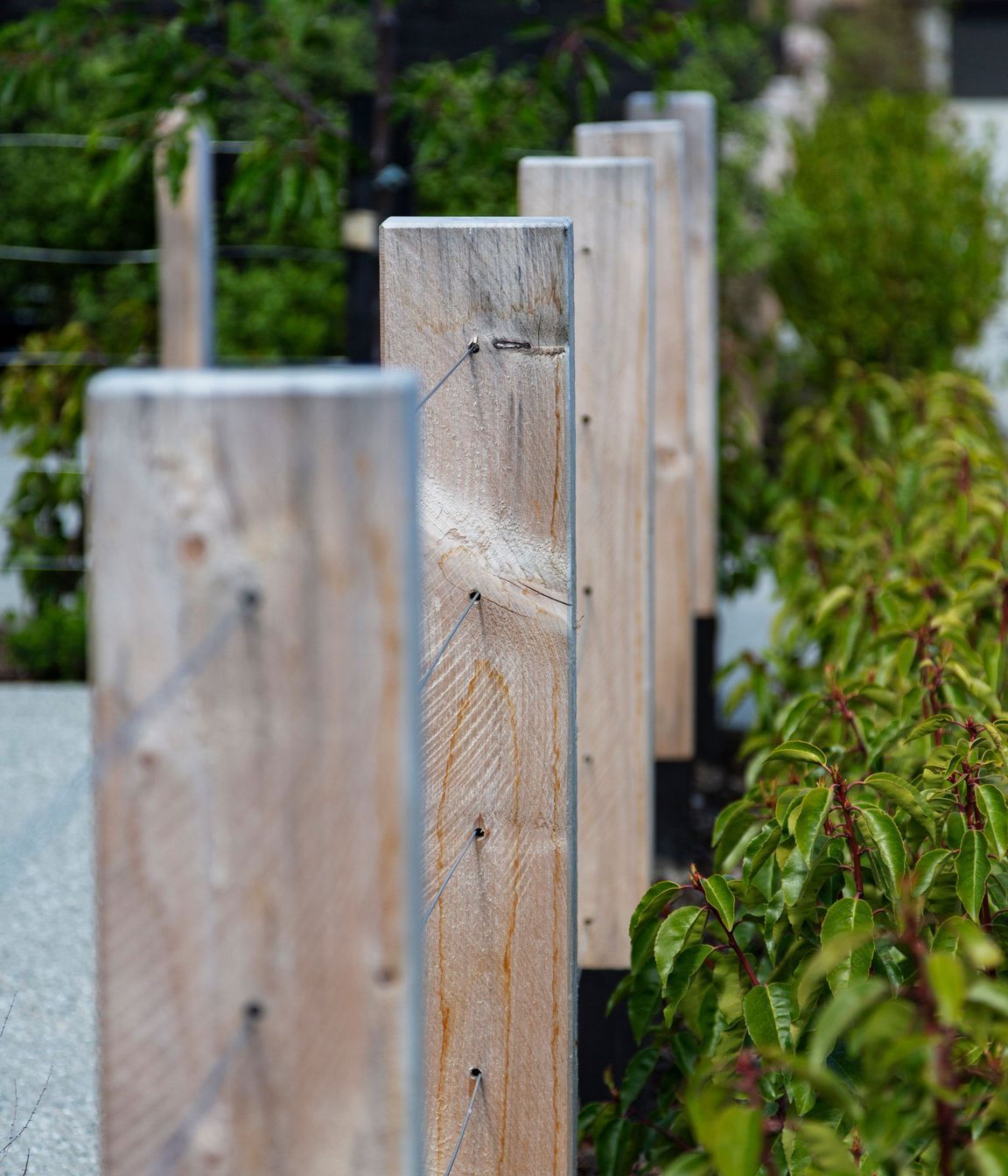 Station View, Jacks Point | Alpine Fencing