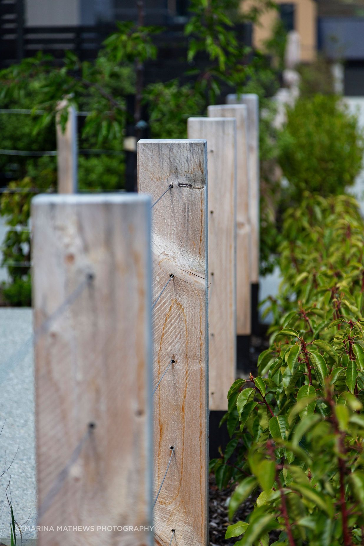 Station View, Jacks Point | Alpine Fencing