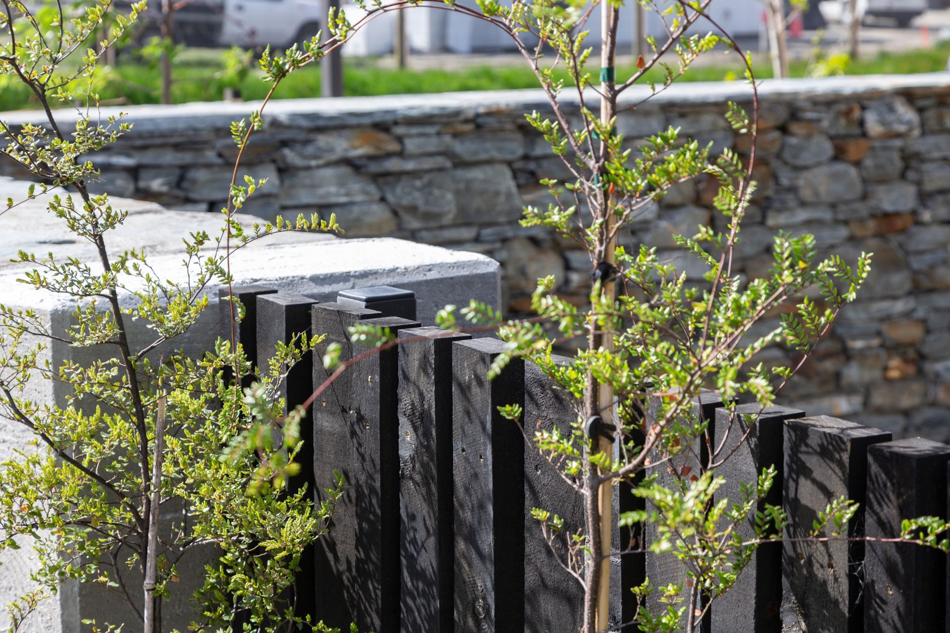Station View, Jacks Point | Alpine Fencing