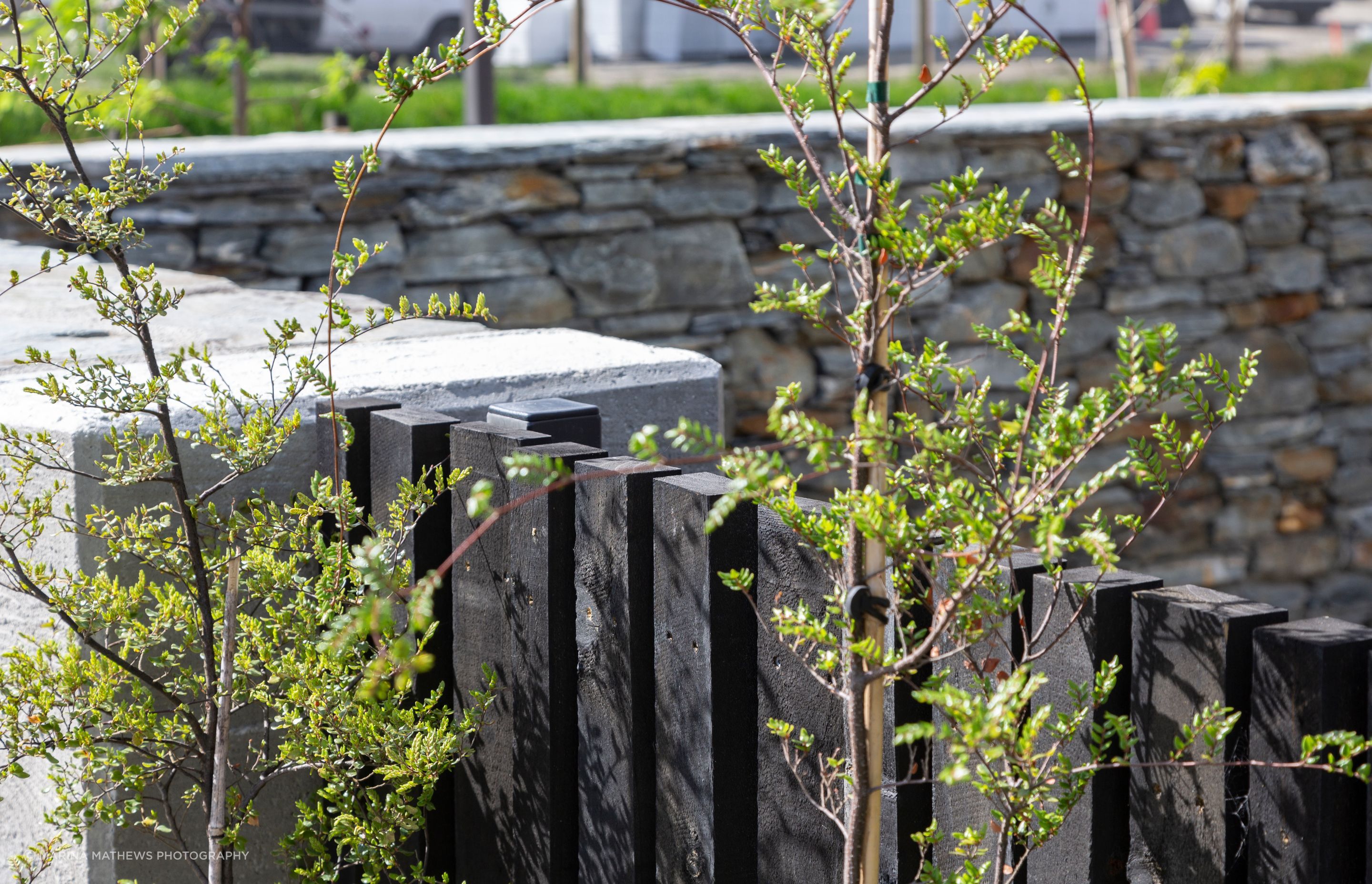 Station View, Jacks Point | Alpine Fencing