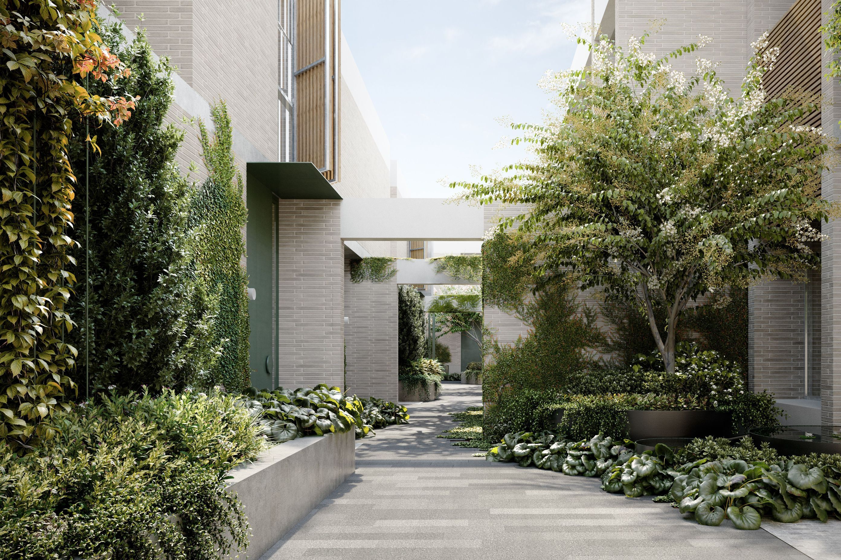 StudioPiperSycamoreStMalvernEast02CentralLaneway-v2.jpg