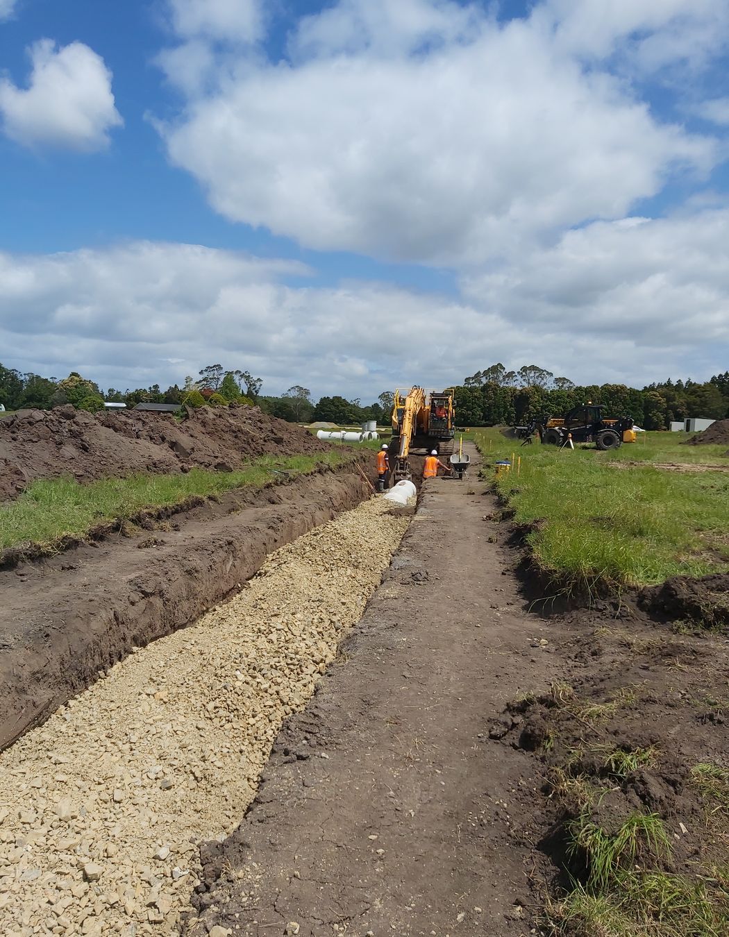 Te-Pua-Waitanga-1.jpg