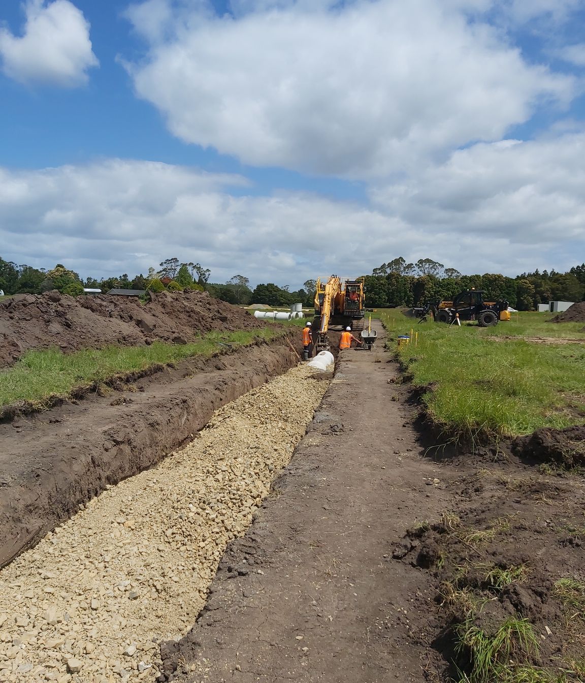 Te-Pua-Waitanga-1.jpg