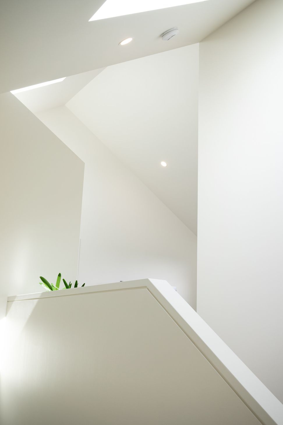 WS0157WillarongFinal200221.jpg