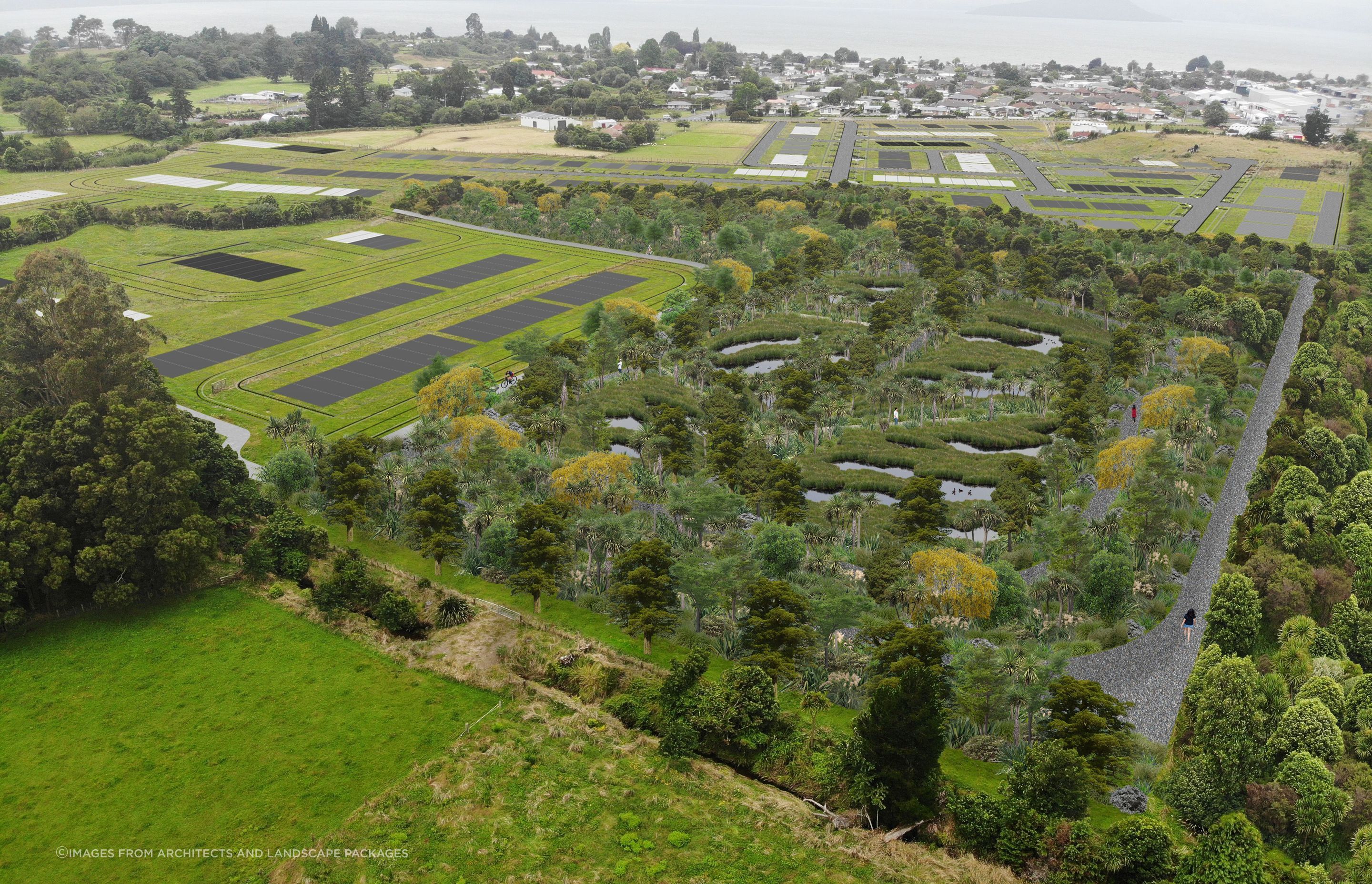 Wetland render - Stage 1-3