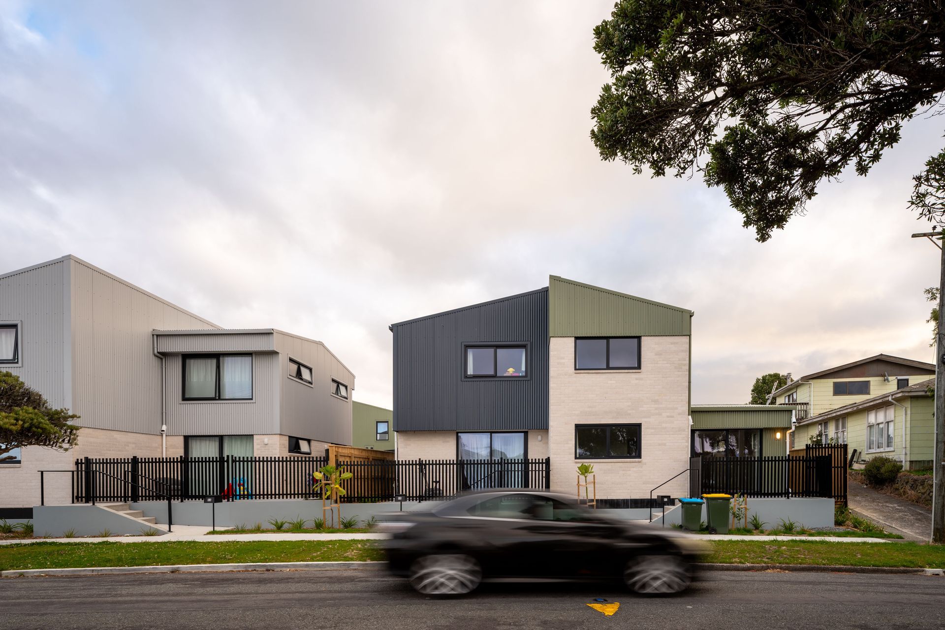 Whanga4kDavid-Hensel10.jpg
