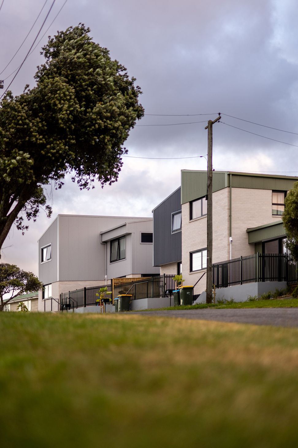 Whanga4kDavid-Hensel5.jpg