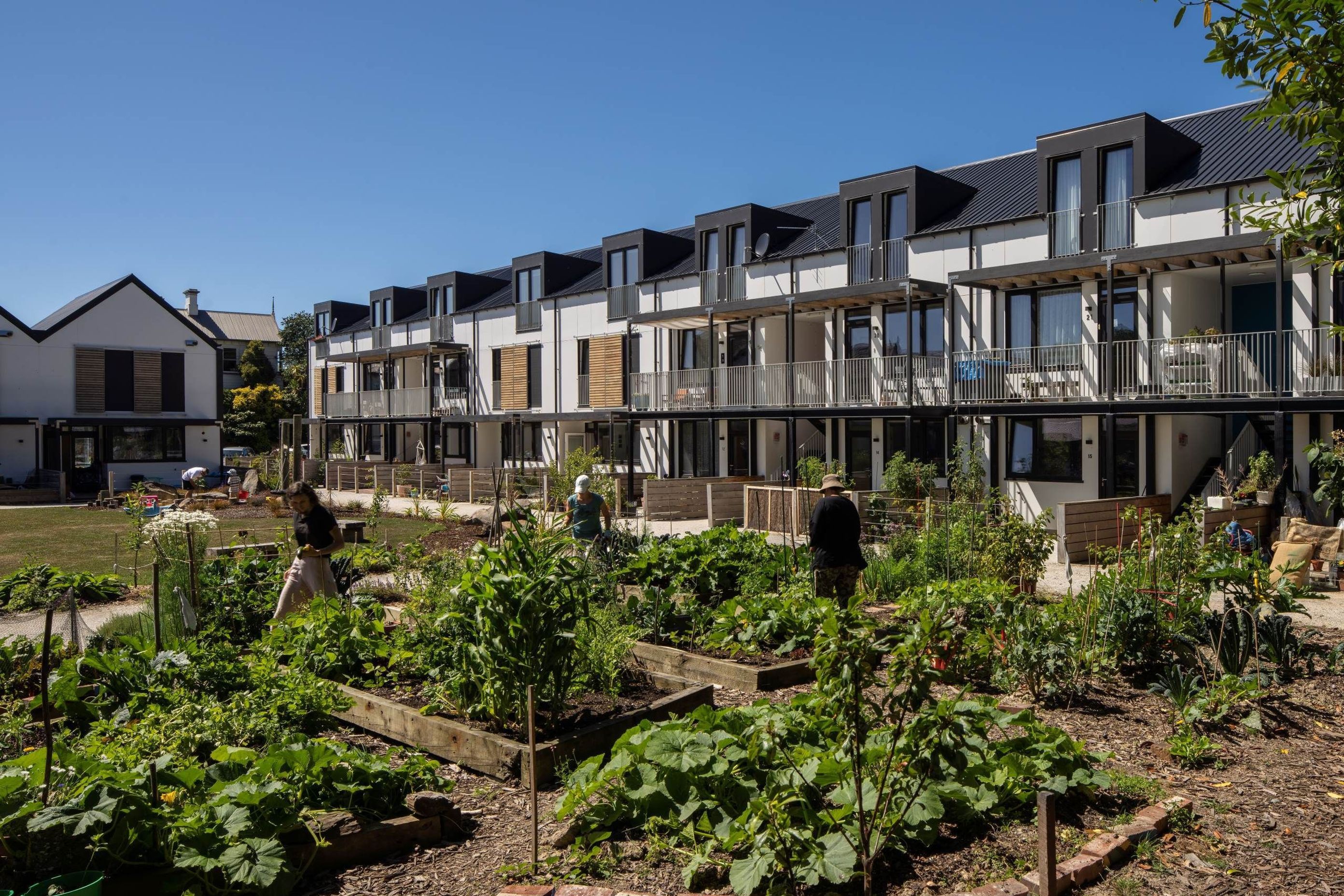 vege-garden.jpg
