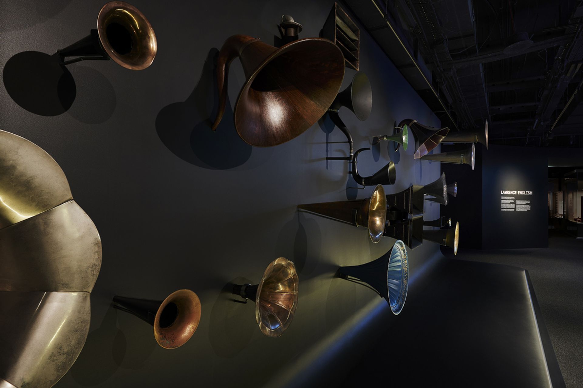 This Is A Voice | A collaboration with the Powerhouse Museum + Wellcome Trust