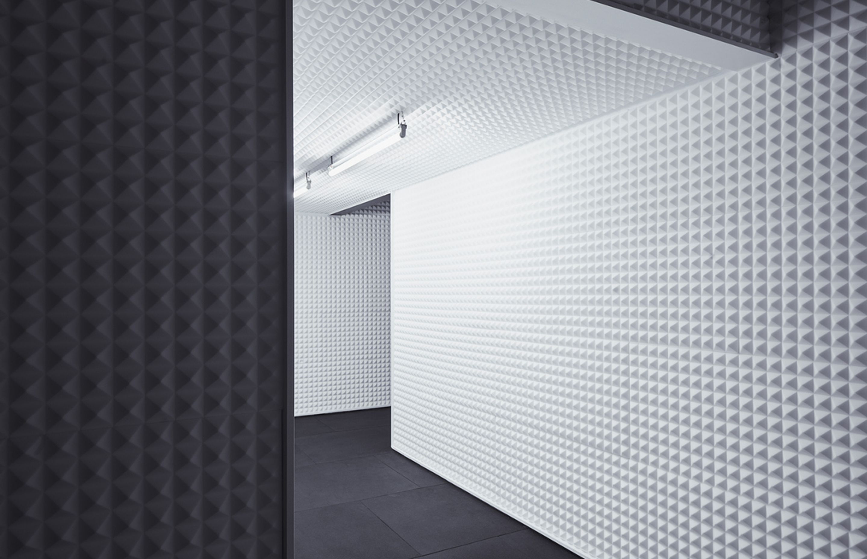 This Is A Voice | A collaboration with the Powerhouse Museum + Wellcome Trust