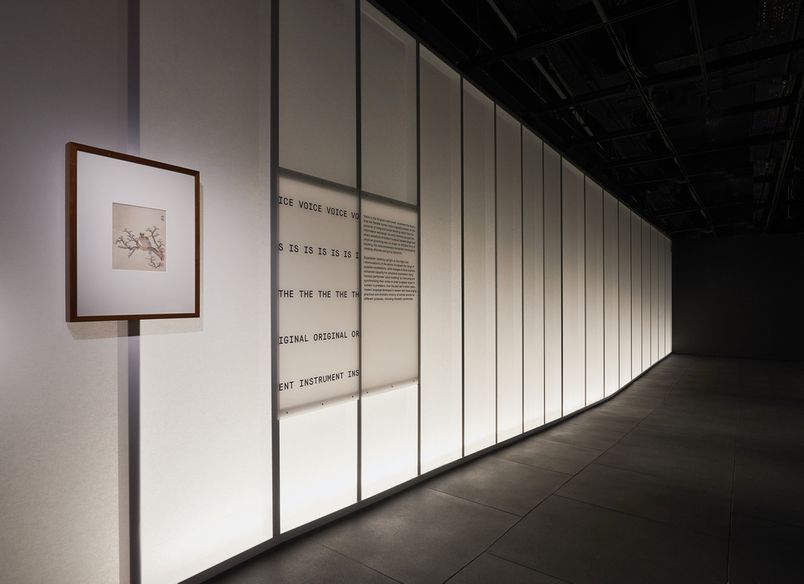 This Is A Voice | A collaboration with the Powerhouse Museum + Wellcome Trust