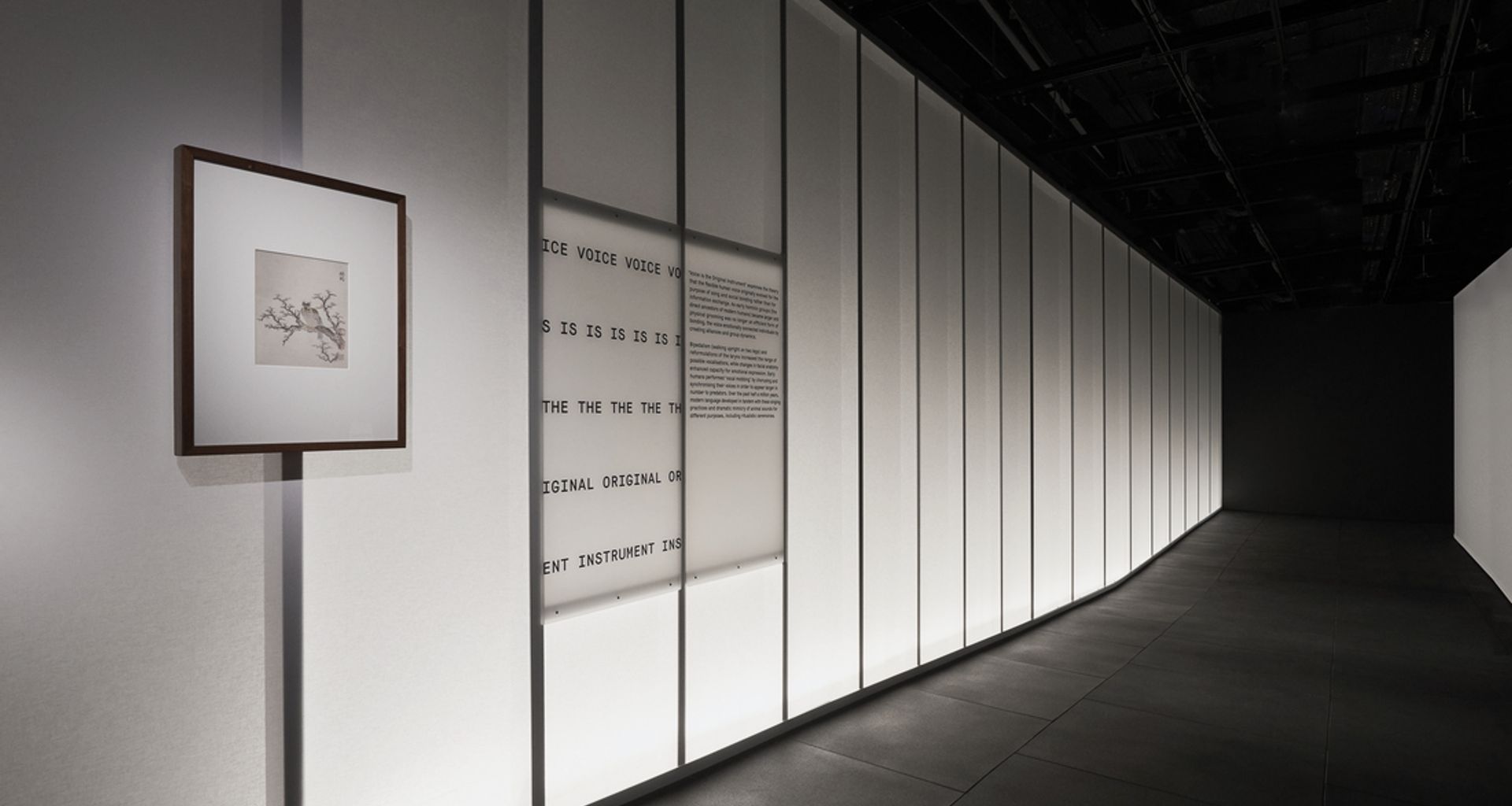 This Is A Voice | A collaboration with the Powerhouse Museum + Wellcome Trust banner