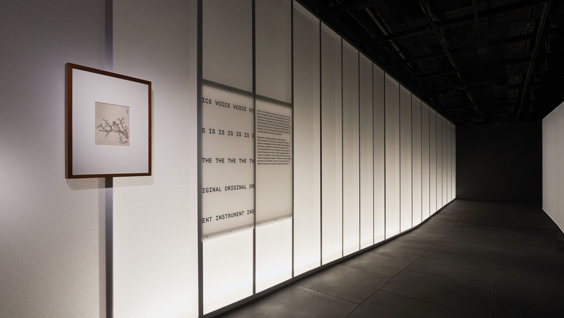 This Is A Voice | A collaboration with the Powerhouse Museum + Wellcome Trust banner