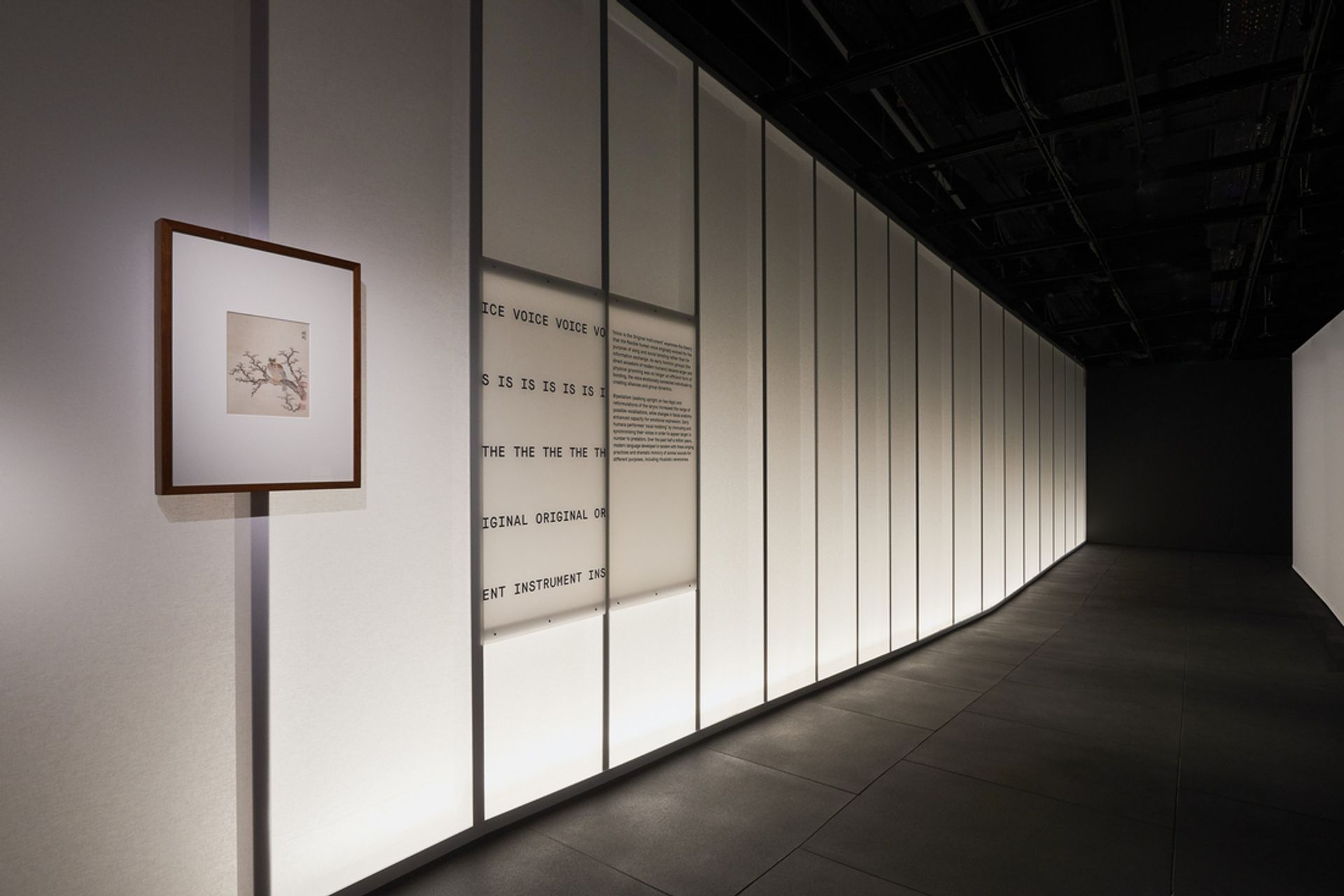 This Is A Voice | A collaboration with the Powerhouse Museum + Wellcome Trust