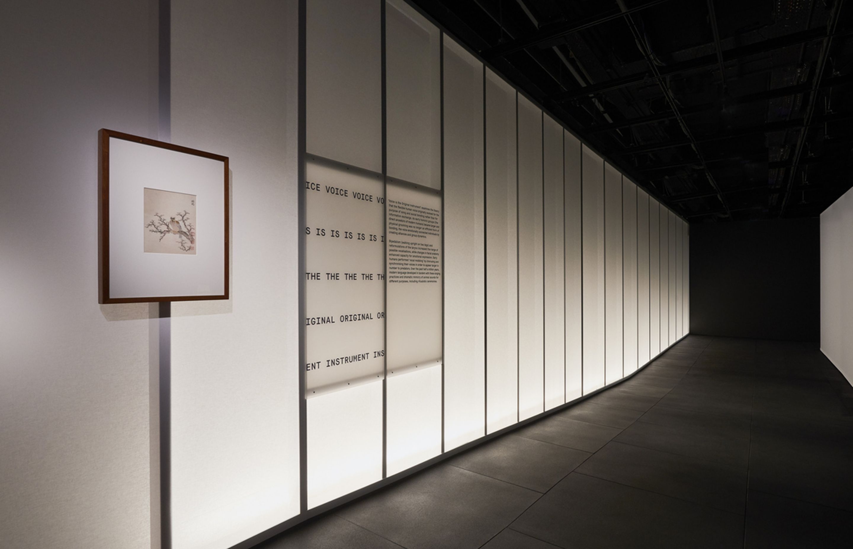 This Is A Voice | A collaboration with the Powerhouse Museum + Wellcome Trust