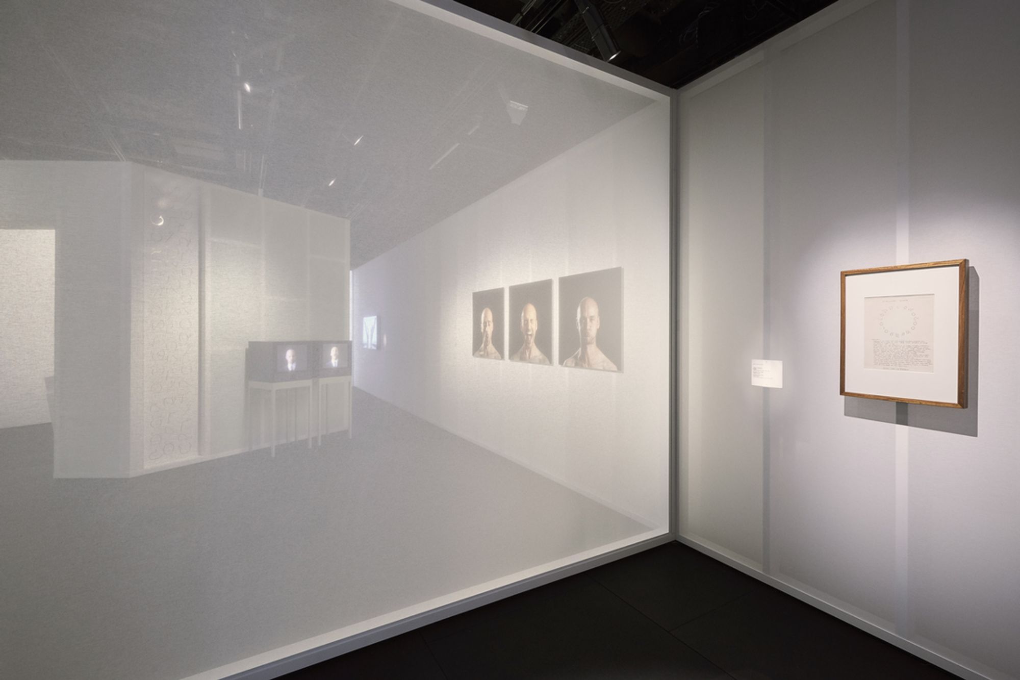 This Is A Voice | A collaboration with the Powerhouse Museum + Wellcome Trust