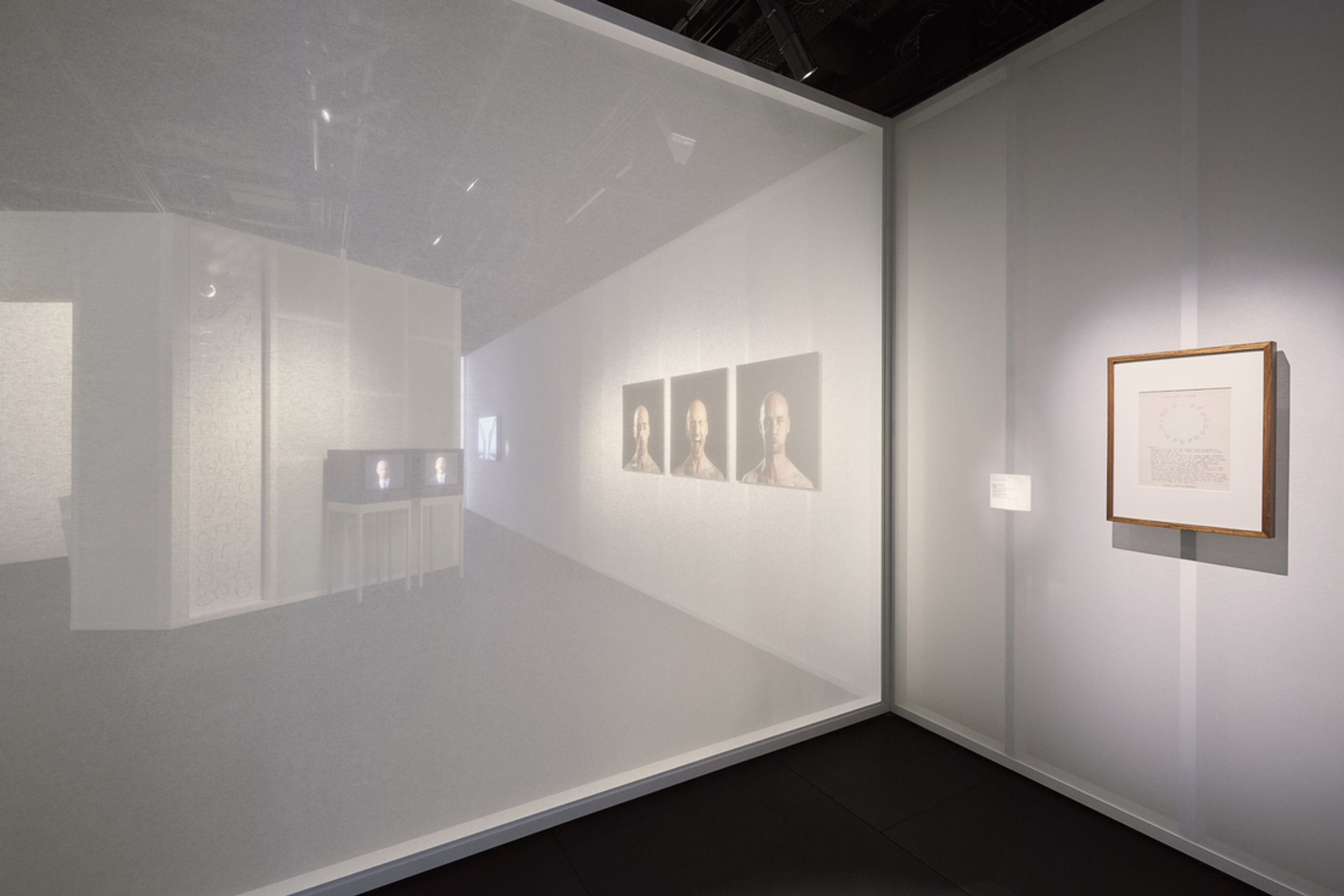 This Is A Voice | A collaboration with the Powerhouse Museum + Wellcome Trust